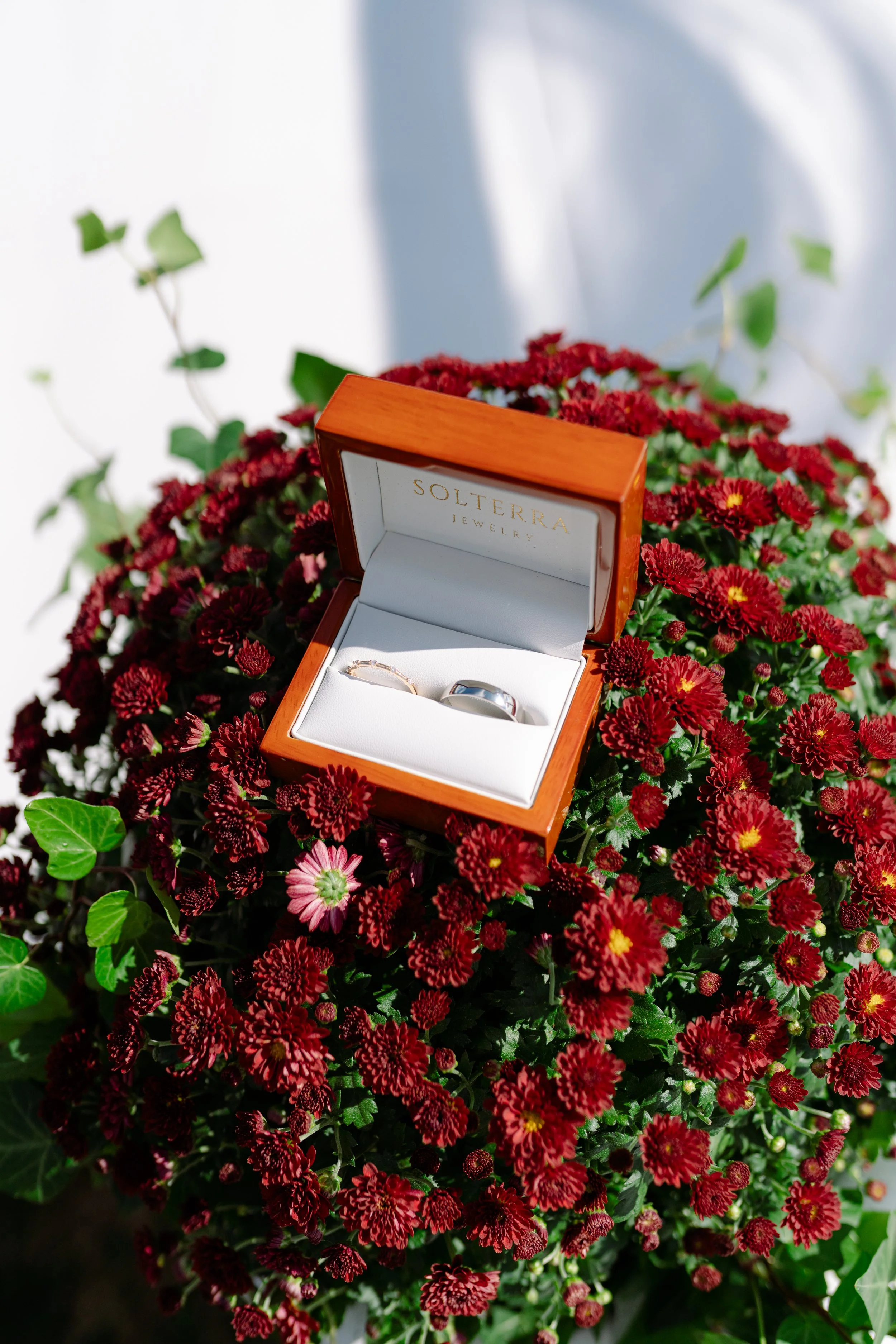 A jewelry box with rings inside placed on a bed of red and pink chrysanthemums and green leaves.
