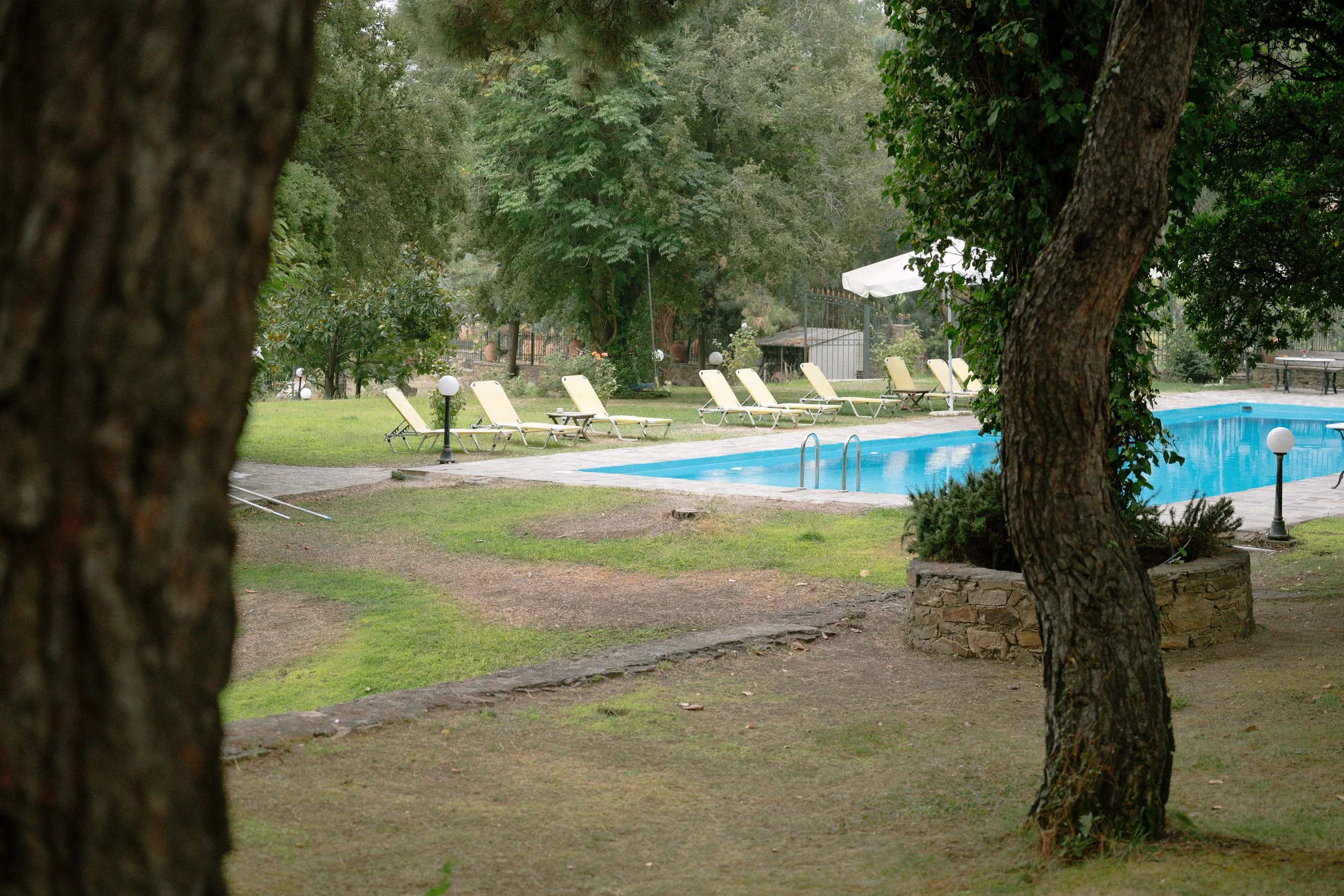 Empty swimming pool surrounded by yellow lounge chairs and trees in a green outdoor area.