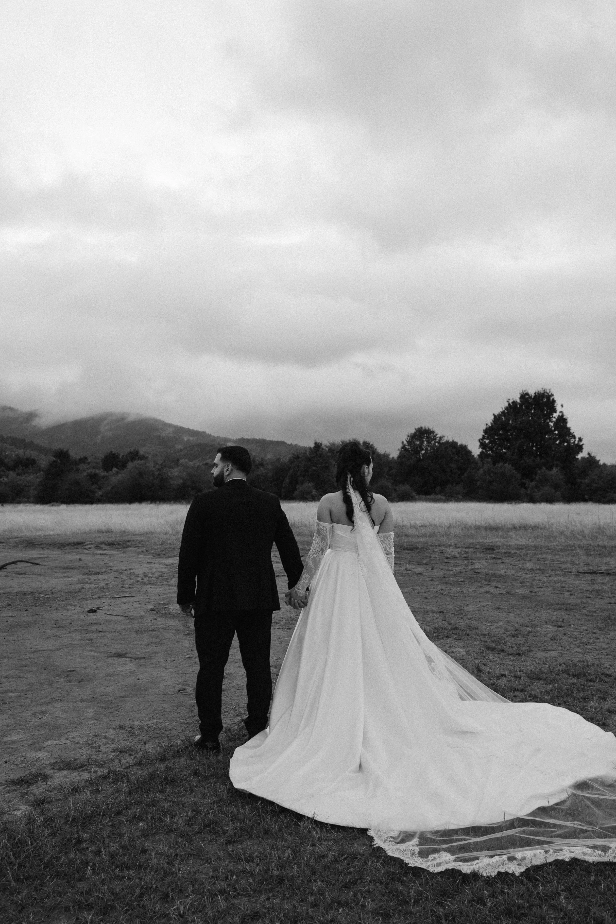 A black-and-white photo of a bride and groom holding hands and walking away in a field, with mountains and trees in the background.