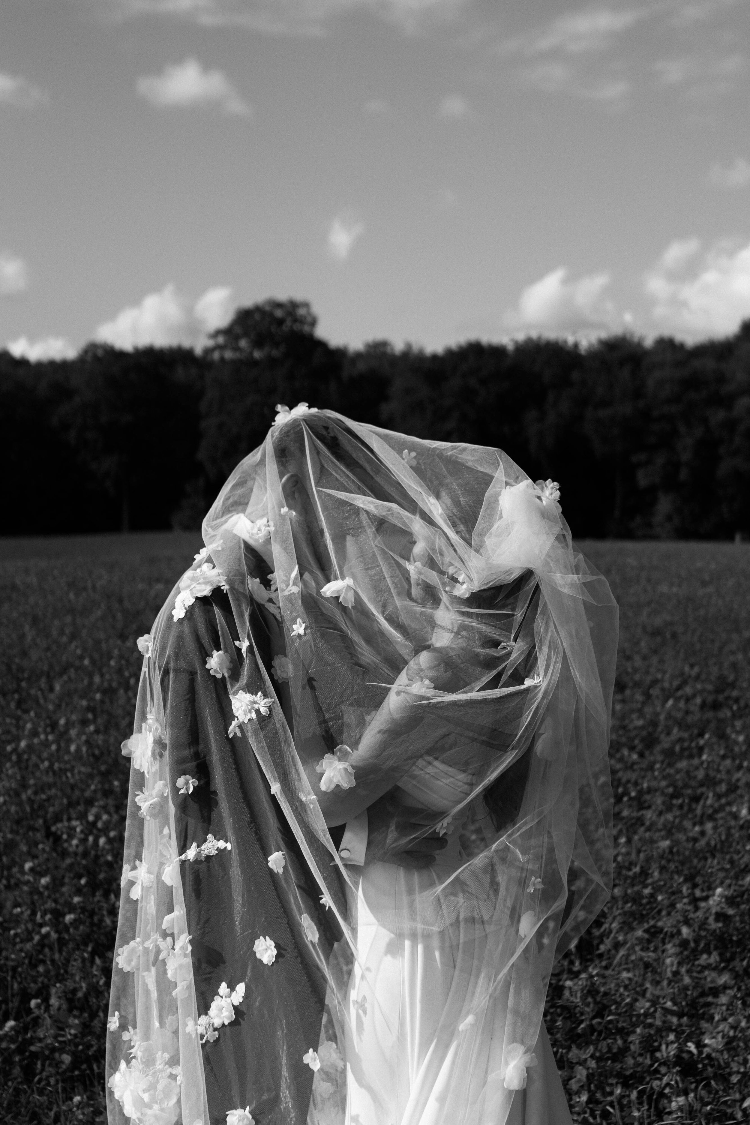 A couple passionately kissing, draped in a sheer wedding veil with flower details, outdoors in a field with trees and a cloudy sky in the background.
