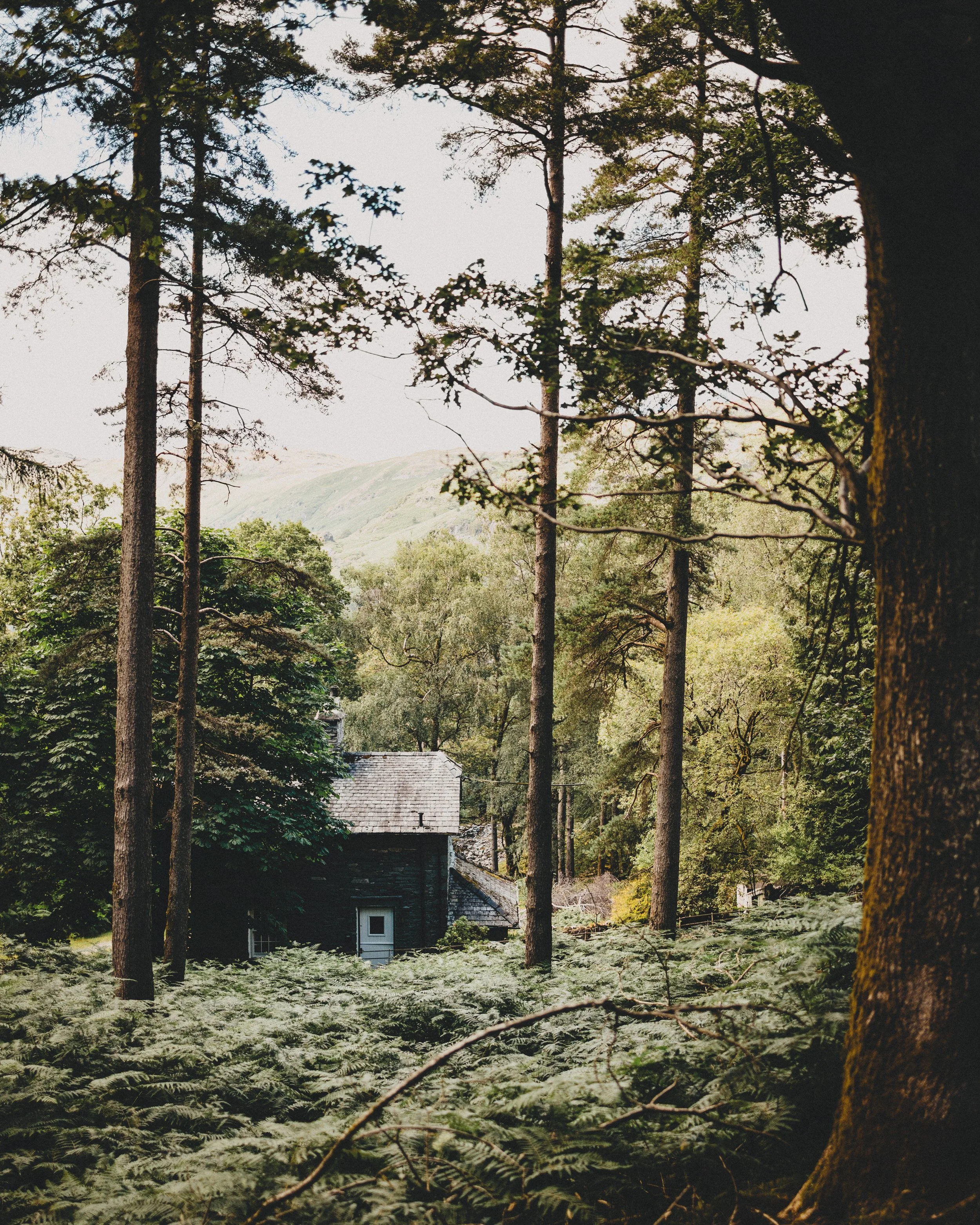 landscapes-220713-164424-elterwater.jpg