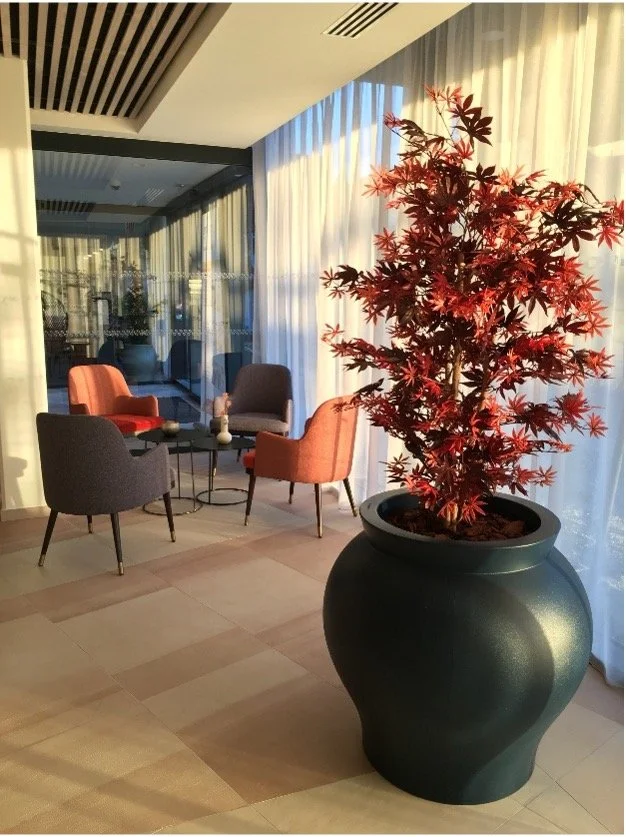 Un érable rouge dans une jarre bleu marine et un coin salon composé de quatre fauteuil rose et bleu