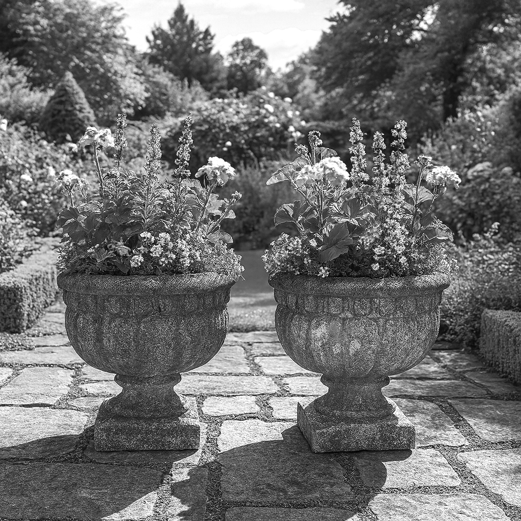 Natural Materials & Organic Curios