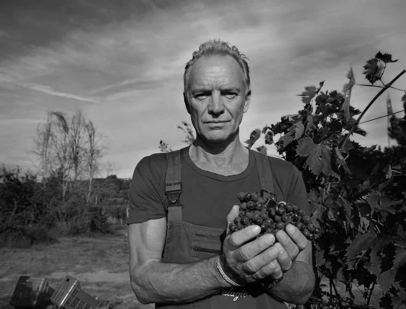 Sting Tenuta Il Palagio