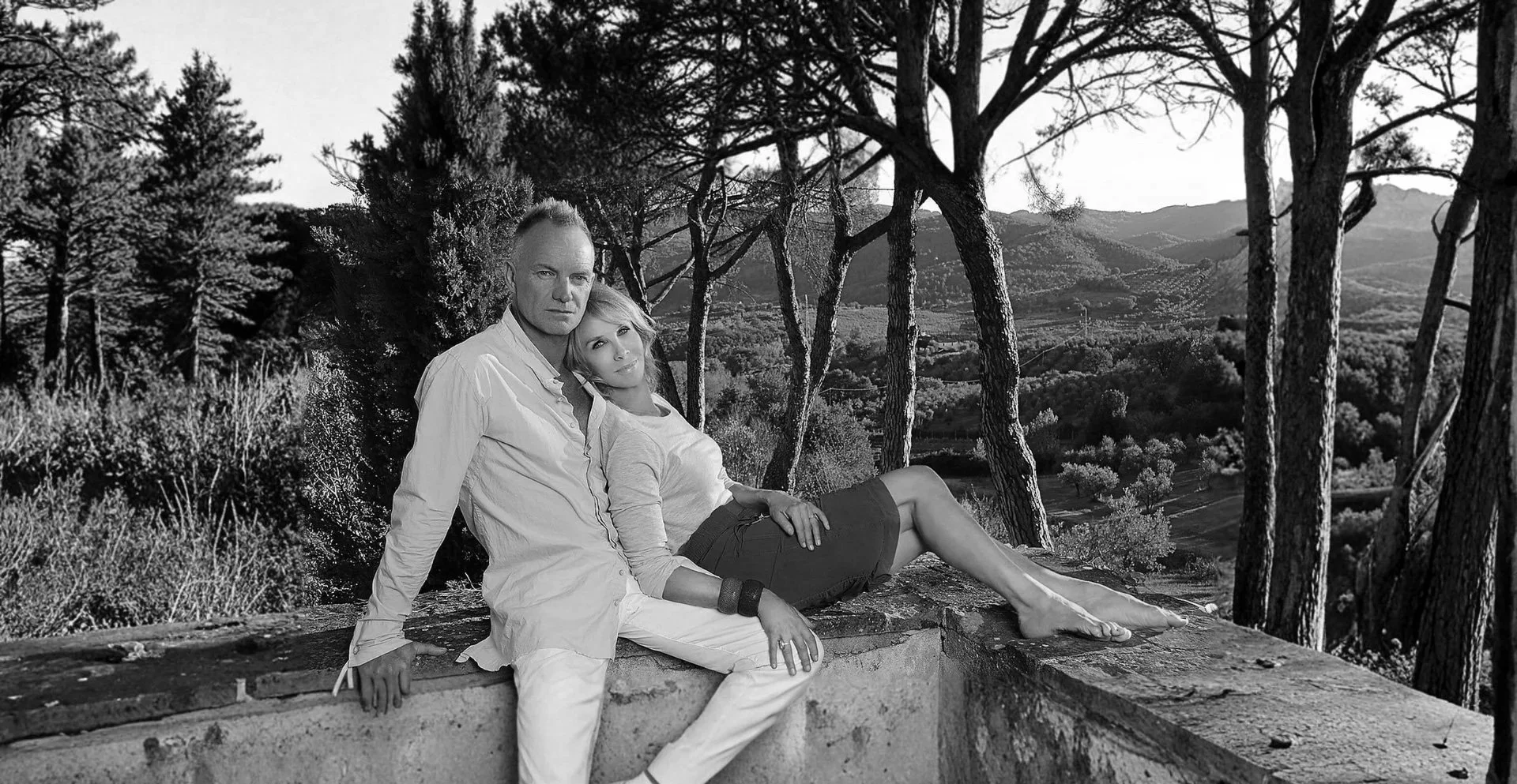 Sting and Red carpet wines