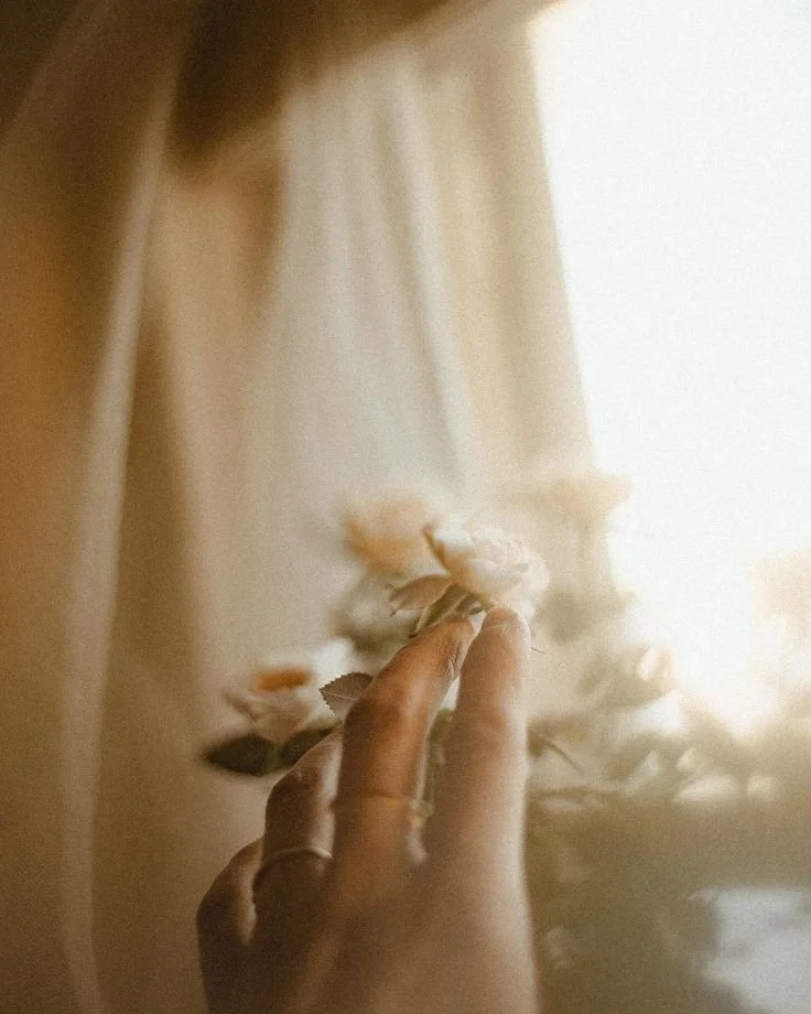 A hand gently touching or holding a light-colored flower near a window with sheer curtains, bathed in soft natural light.