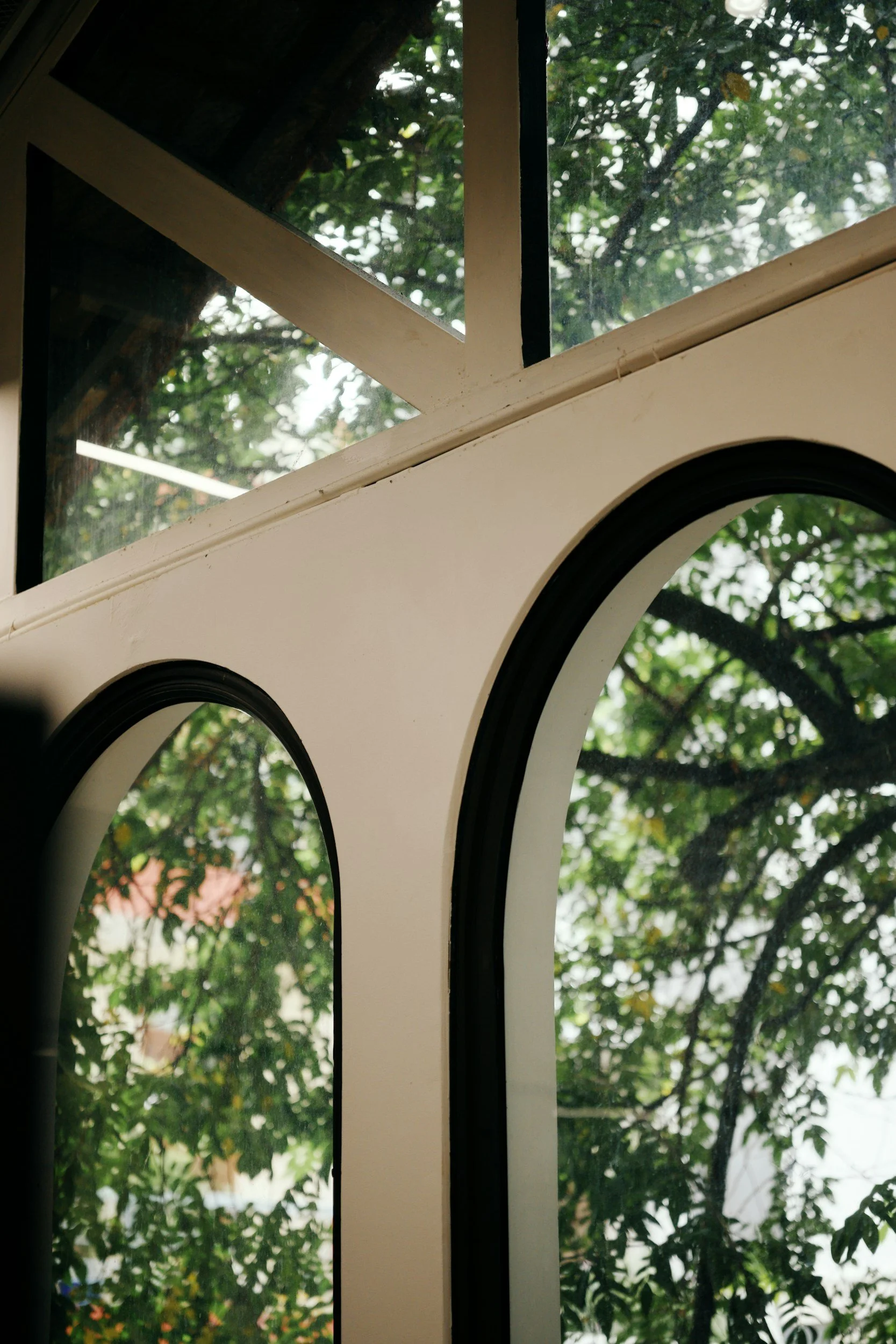 Close-up of a window with black frames, showing green trees outside with leafy branches.