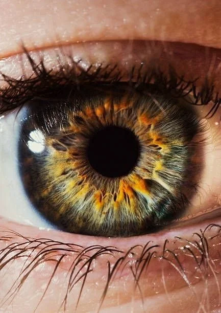 Close-up of a human eye with a hazel and green iris, visible eyelashes, and a reflection of light in the eye.