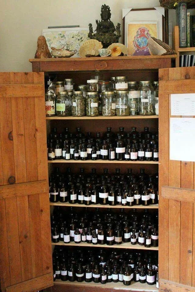 A wooden cabinet filled with shelves of brown bottles with white labels. Items are stored in a room with framed pictures, a sculpture, and decorative items on top of the cabinet.