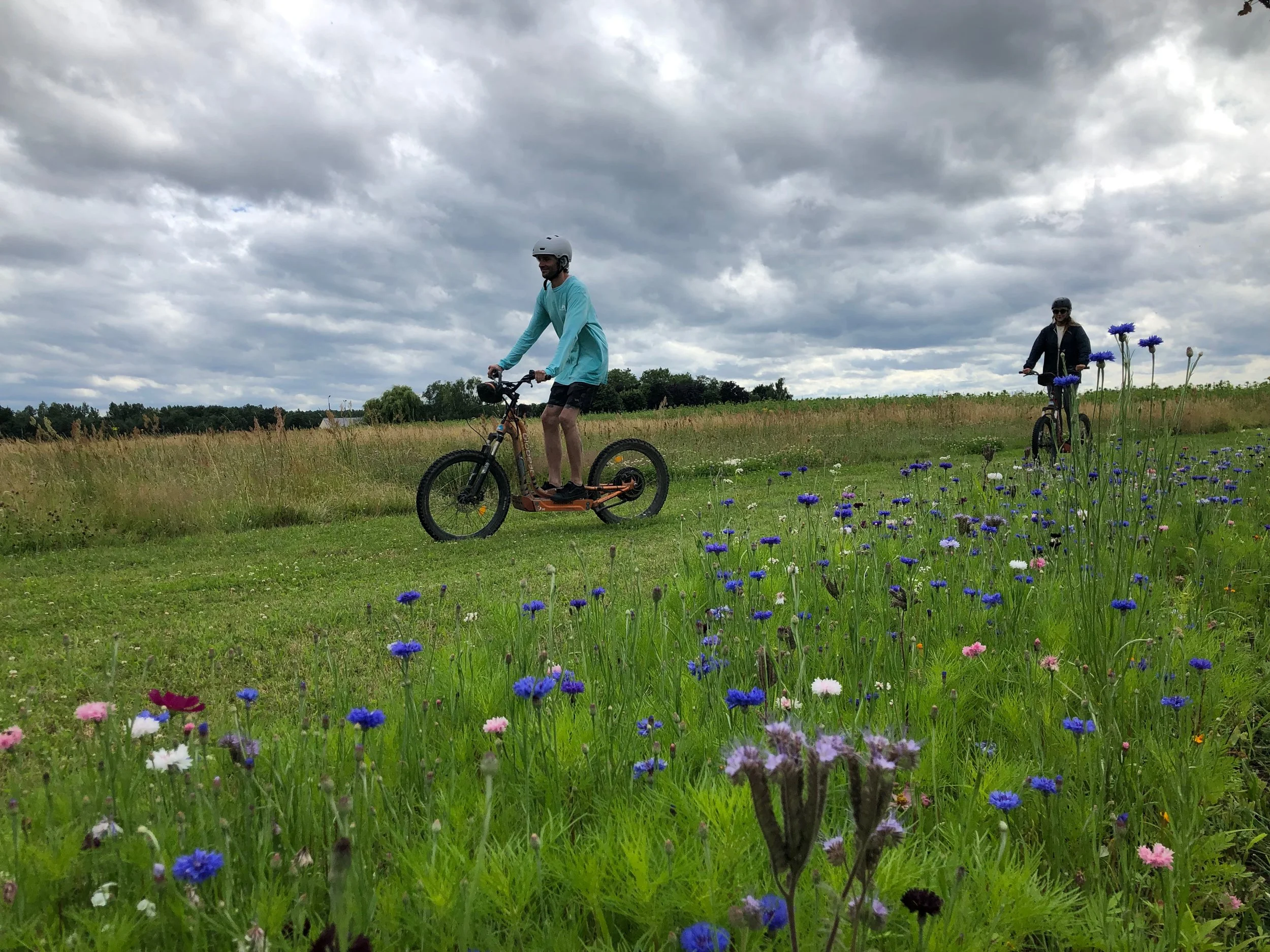 Deux personnes faisant du vélo dans un champ de fleurs sous un ciel nuageux.
