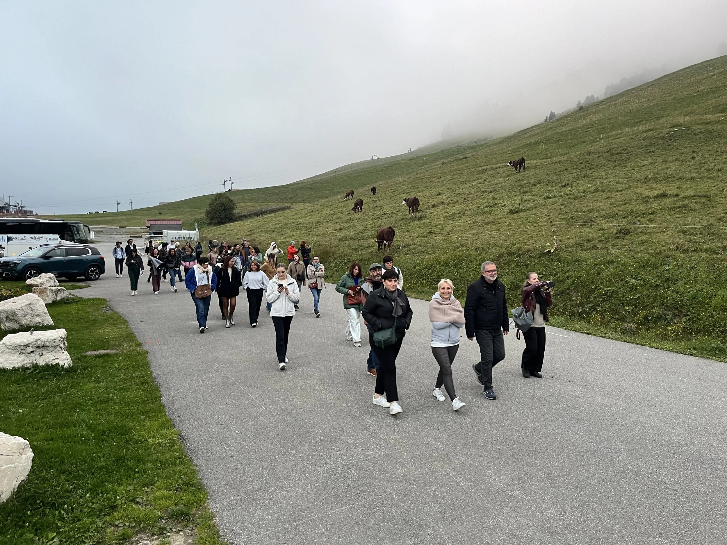Groupe de touristes marchant sur une route en montagne avec des chevaux paissant dans l'herbe verte en arrière-plan, sous un ciel nuageux.