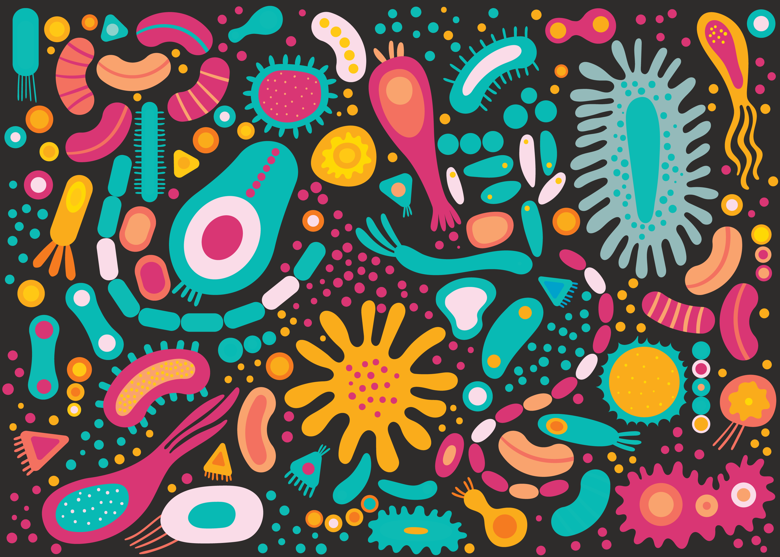 Microbiome Children Health Illustration Dr Sativa