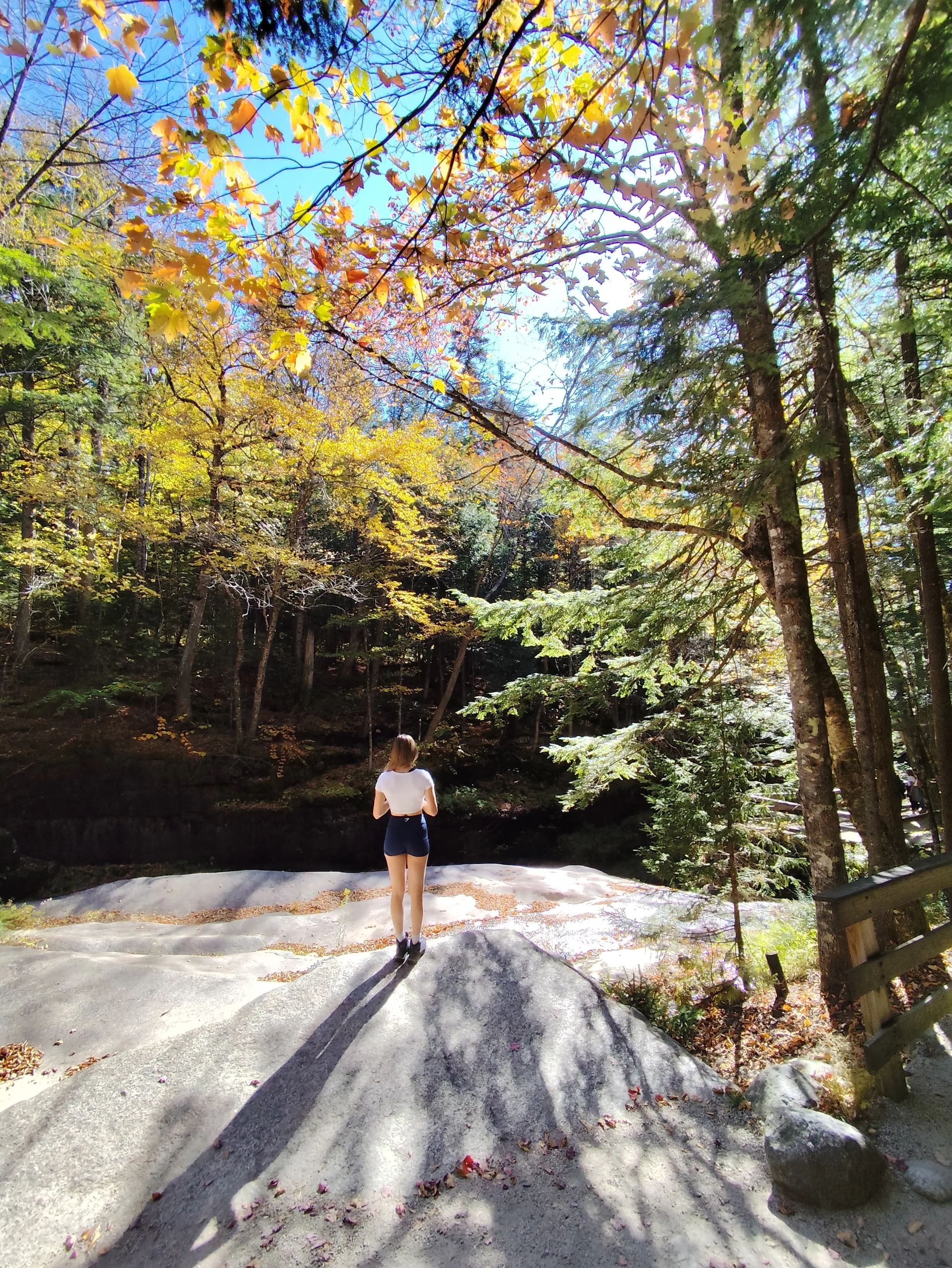 IMG-20251003-WA0031 (1).jpg