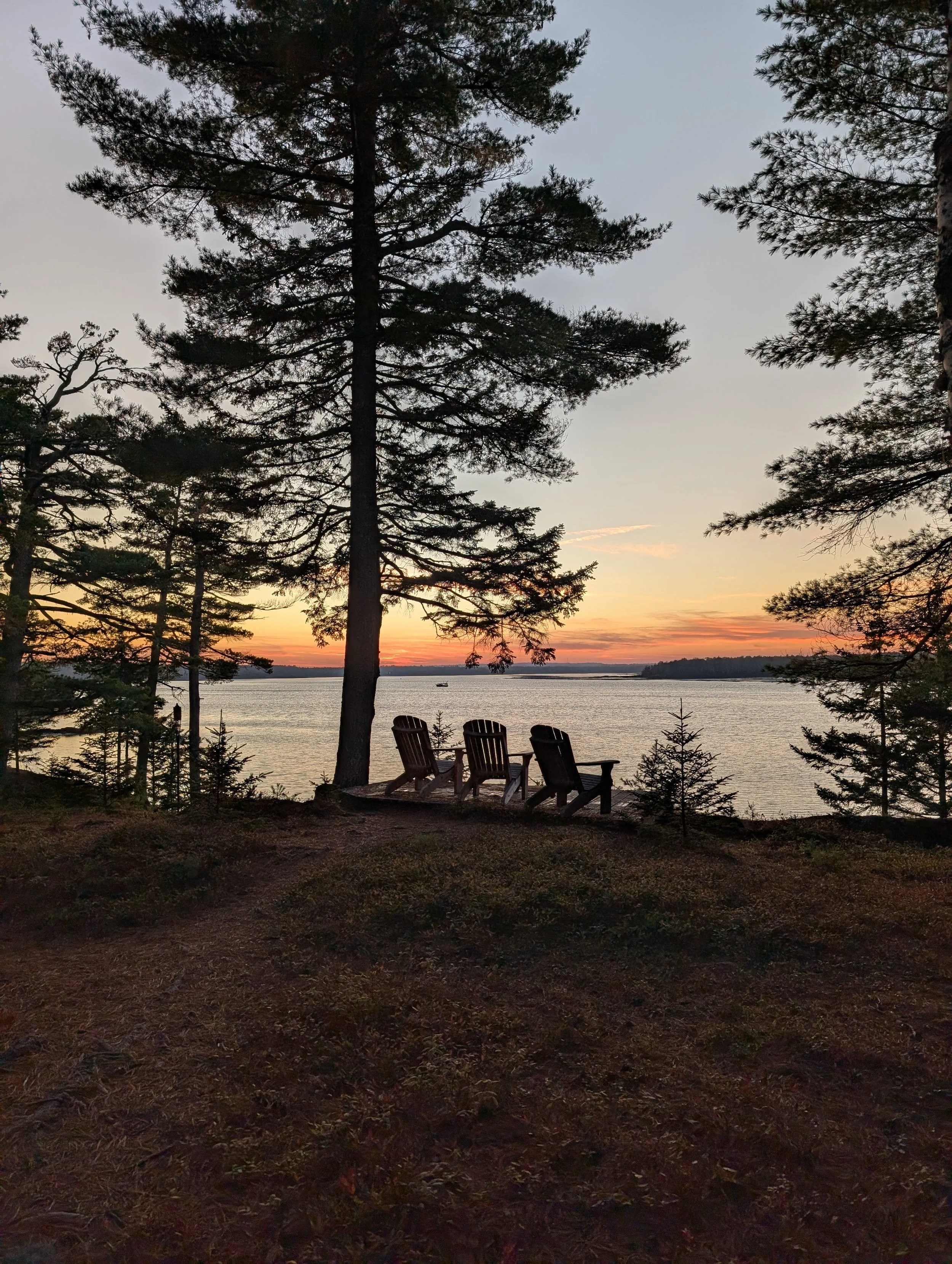 PXL_20251006_221749028 (1).jpg