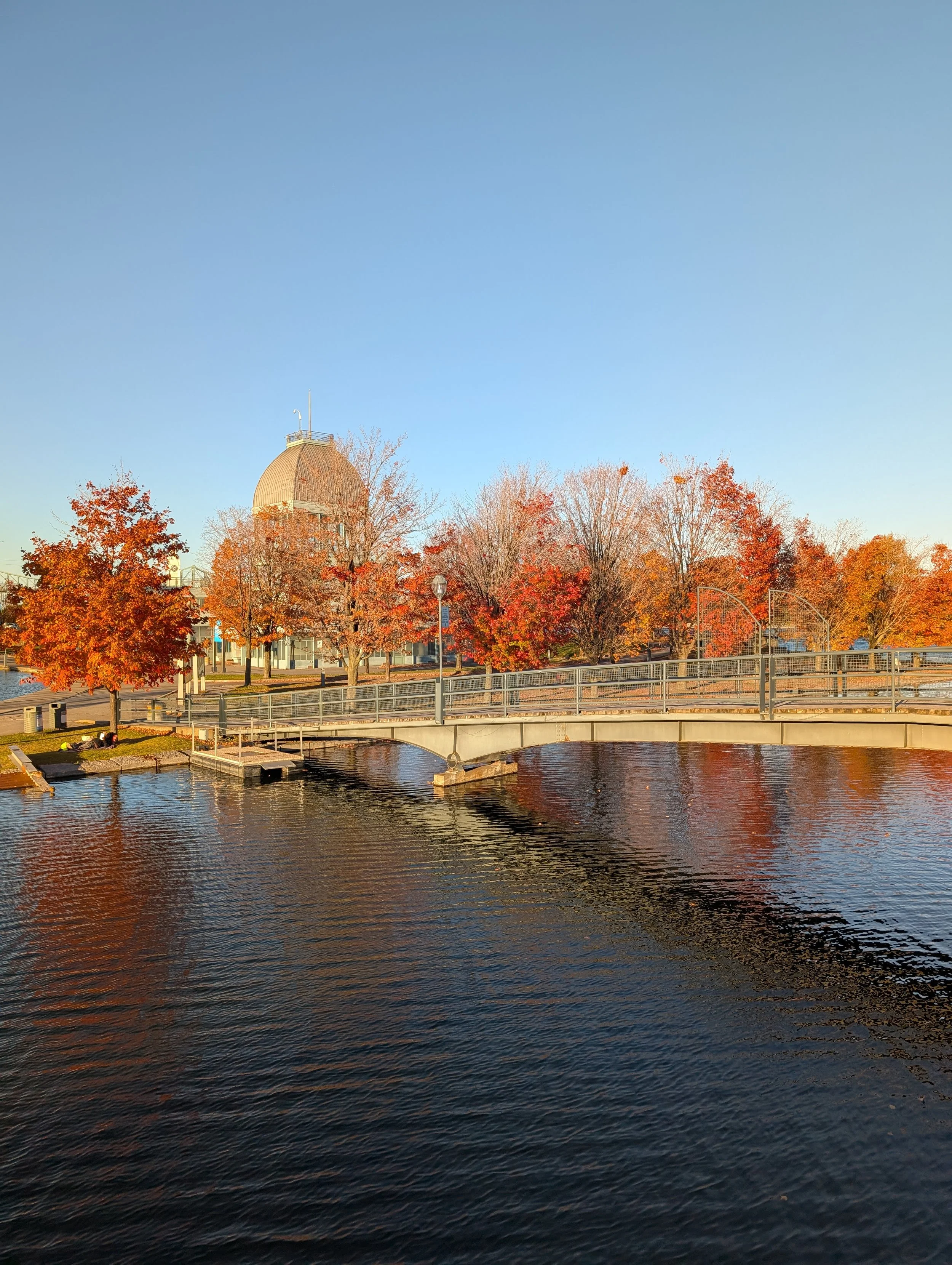 PXL_20251016_210758265 (1).jpg