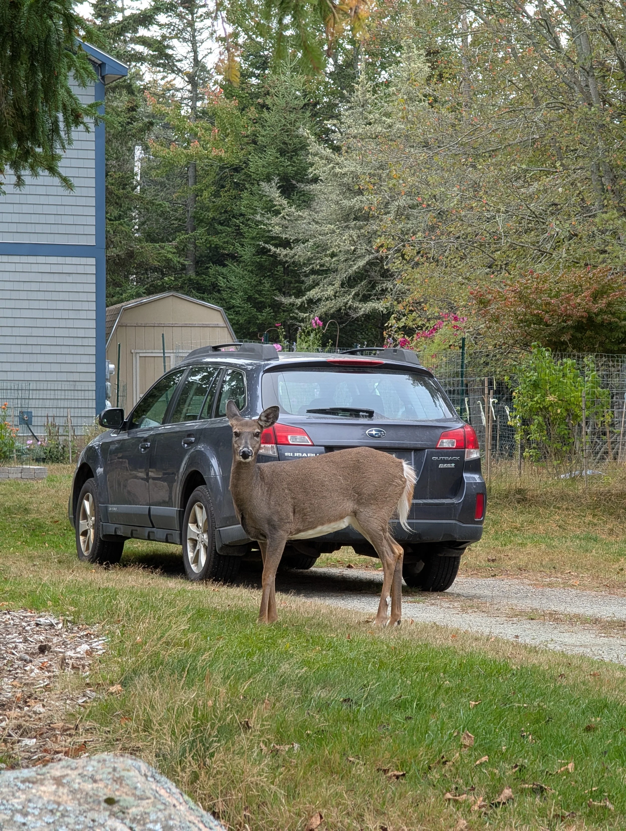 PXL_20251007_201915739 (1).jpg