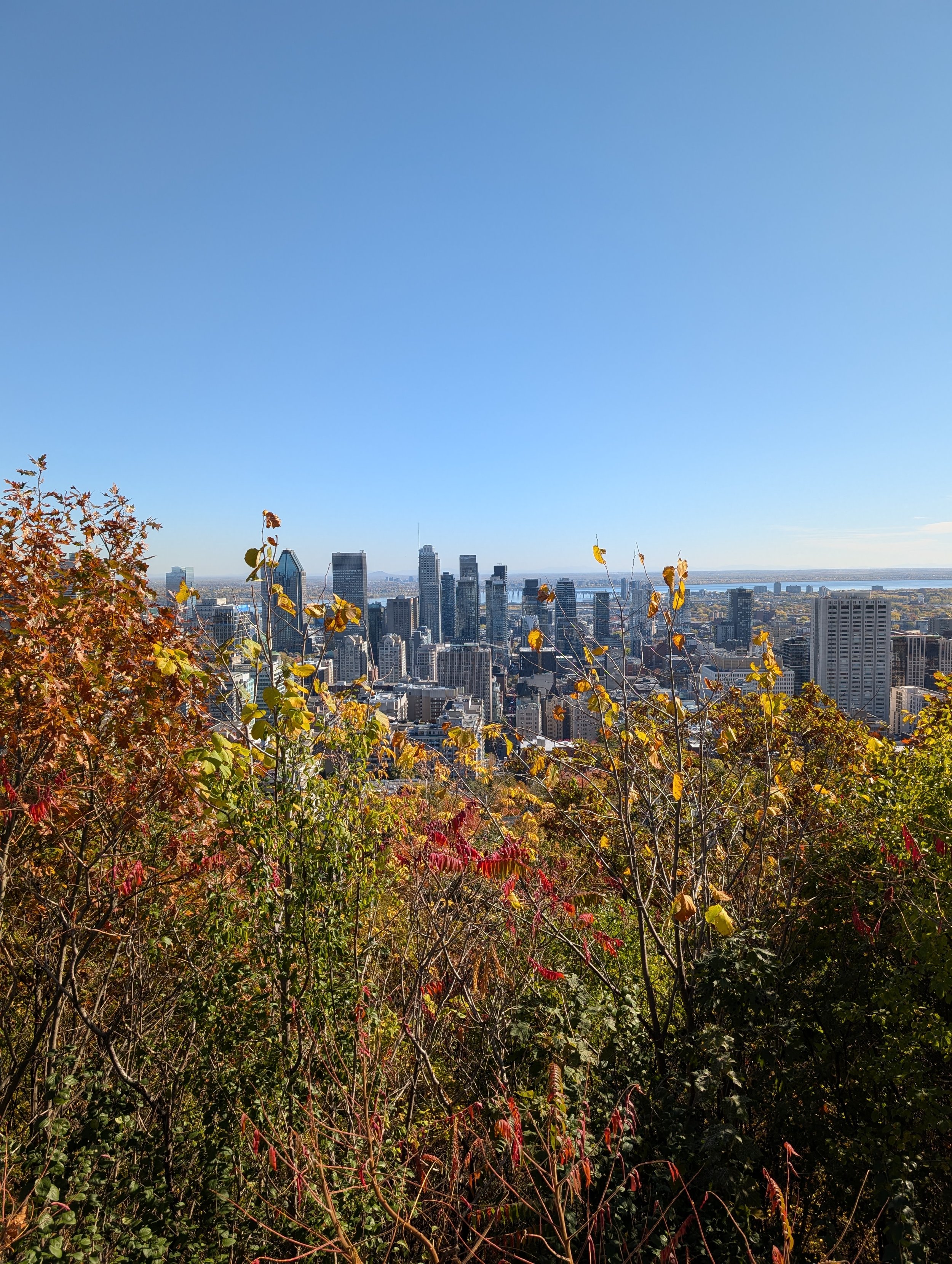 PXL_20251017_171133601 (1).jpg