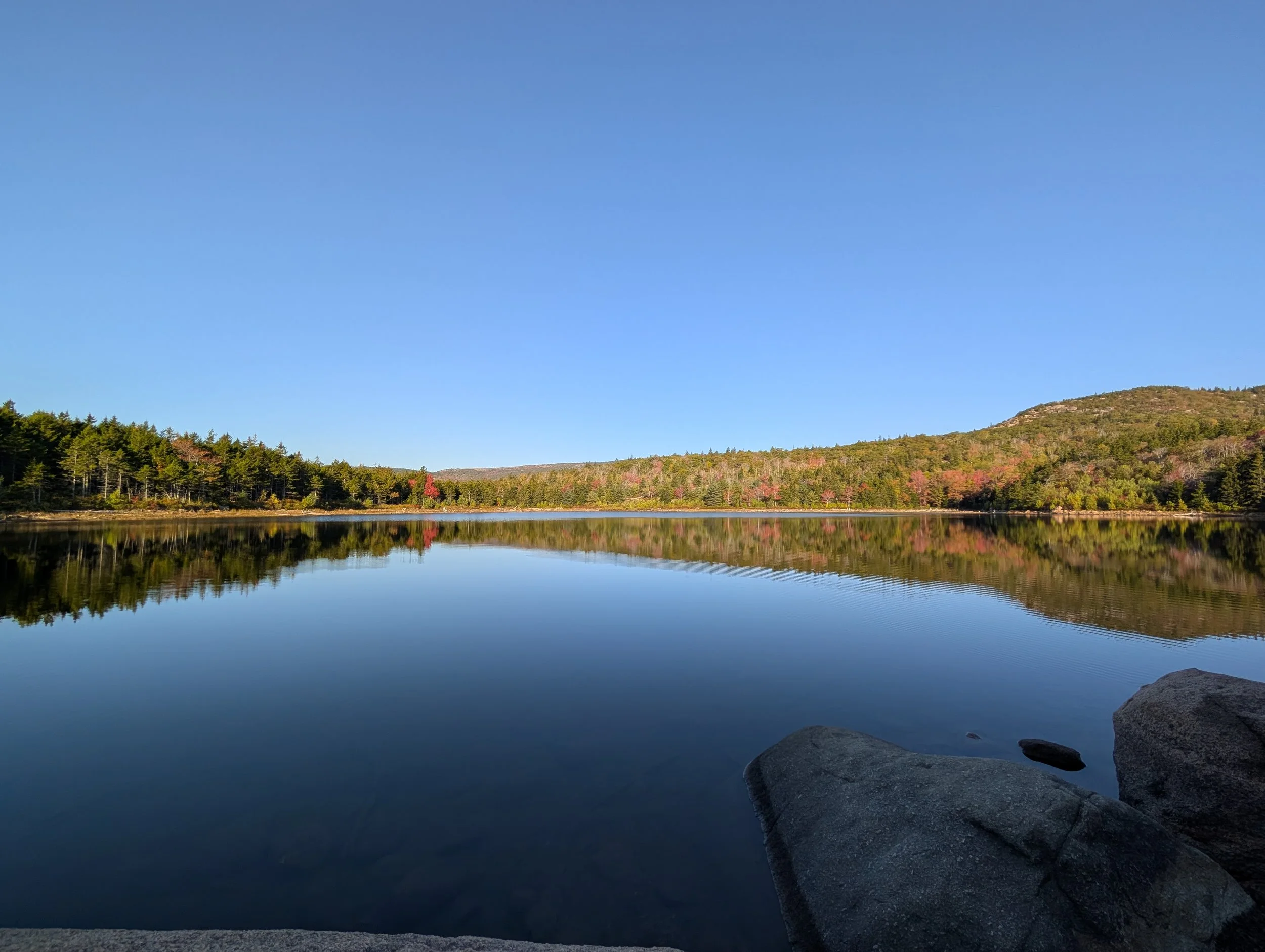 PXL_20251006_123007120 (1).jpg