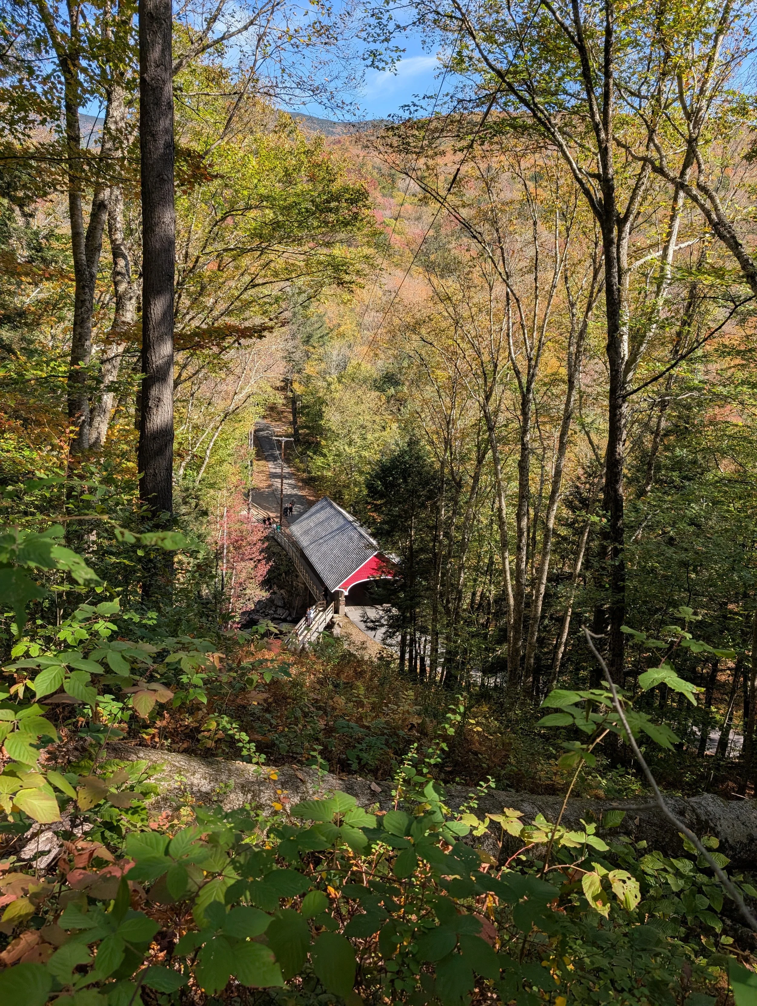 PXL_20251003_180852414 (1).jpg