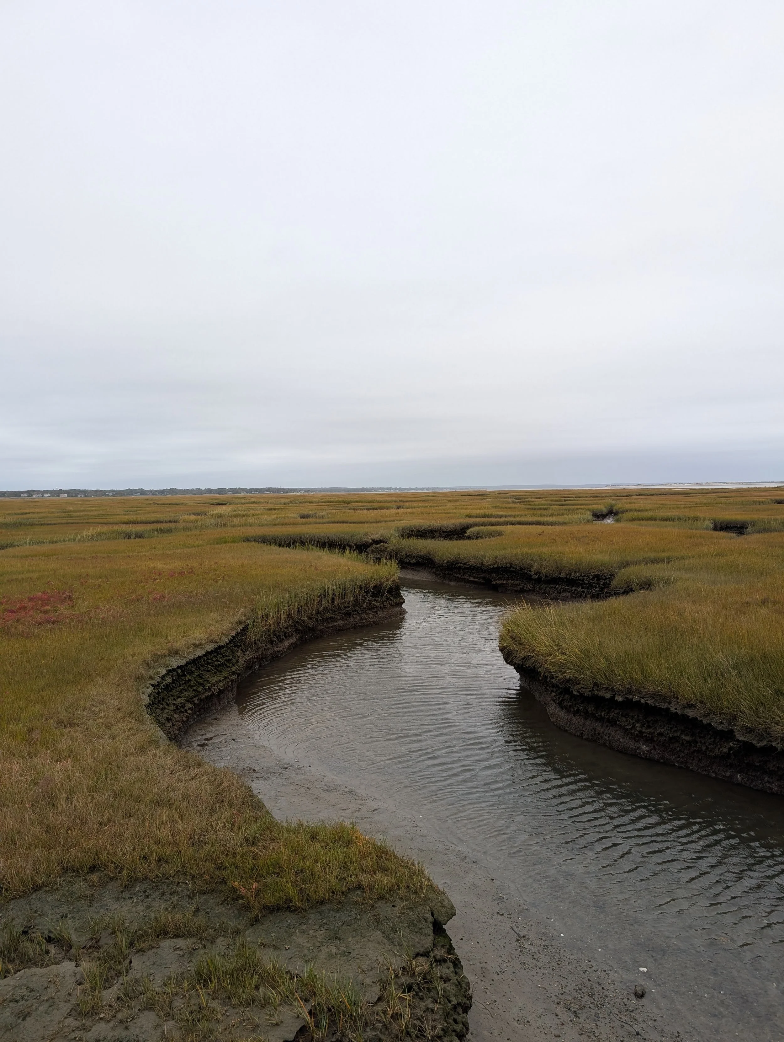 PXL_20251012_130057496 (1).jpg