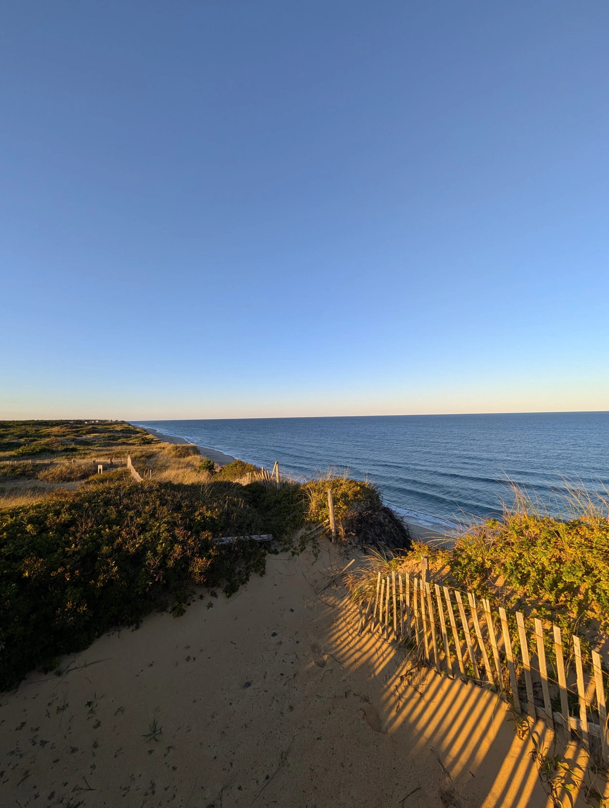 PXL_20251010_212827200 (1).jpg