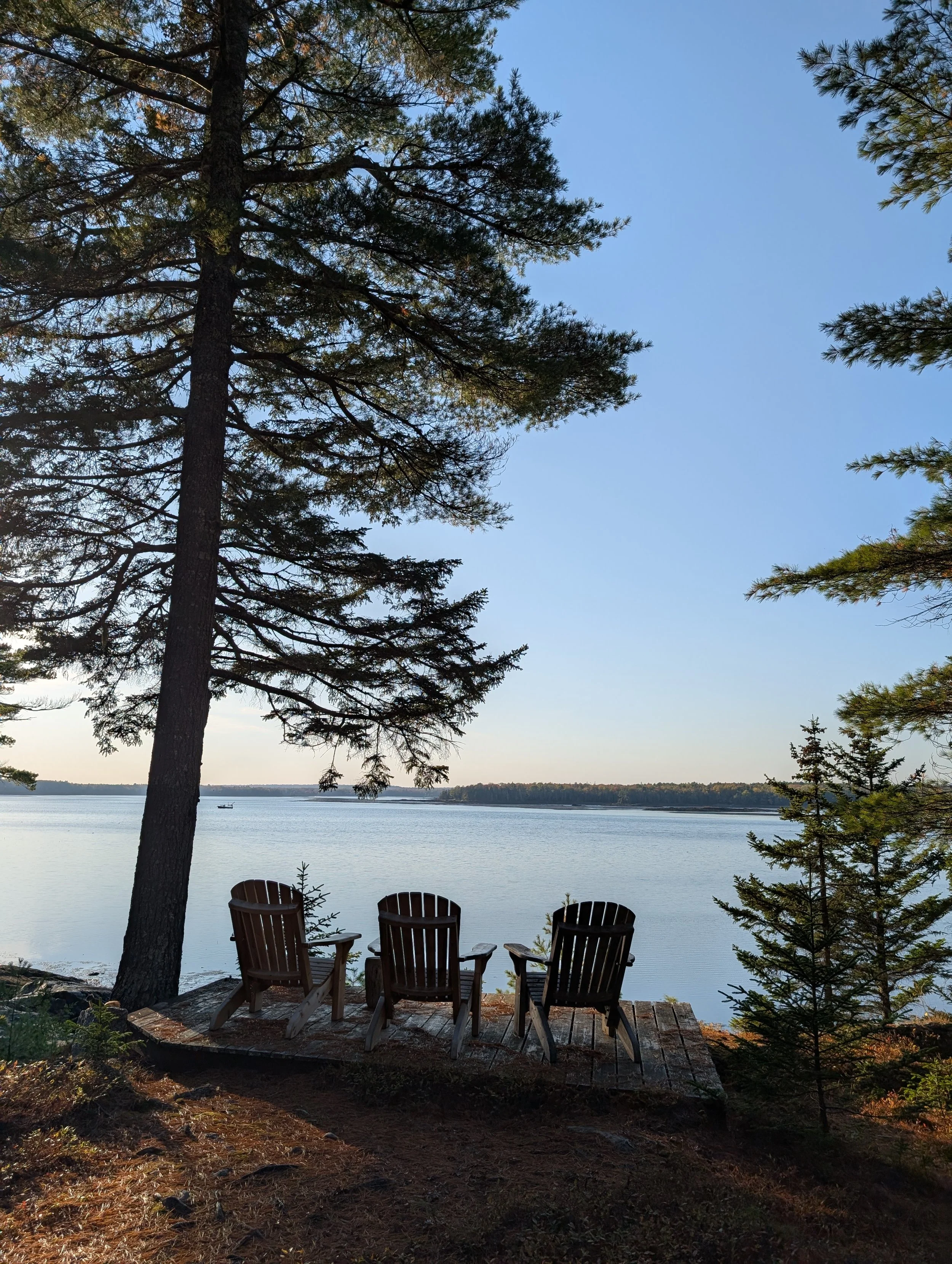 PXL_20251005_204257466 (1).jpg