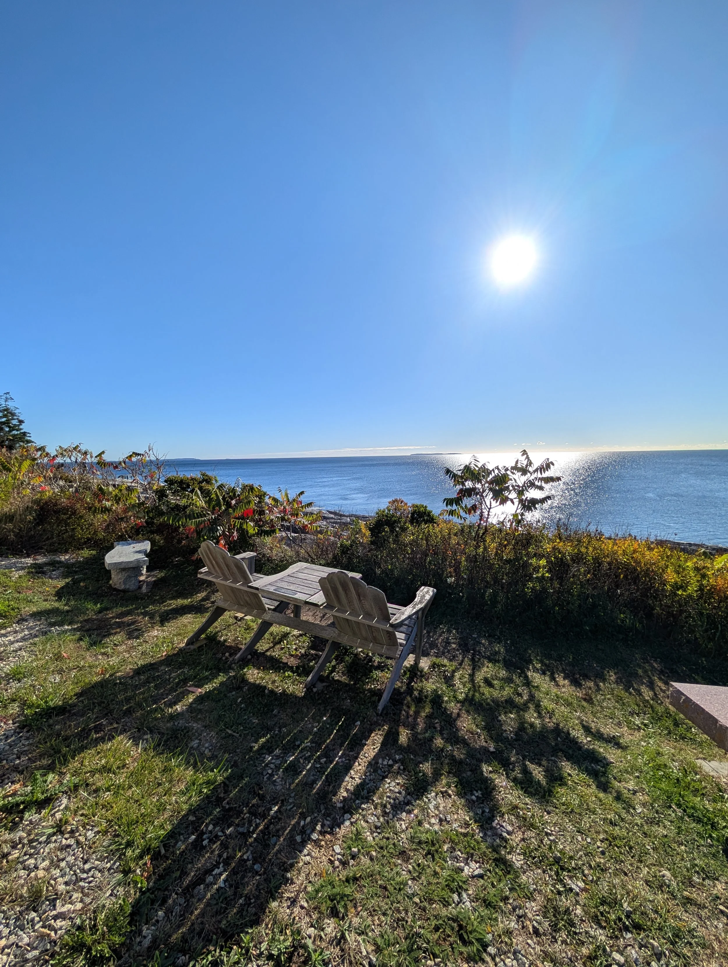 PXL_20251009_132035317 (1).jpg