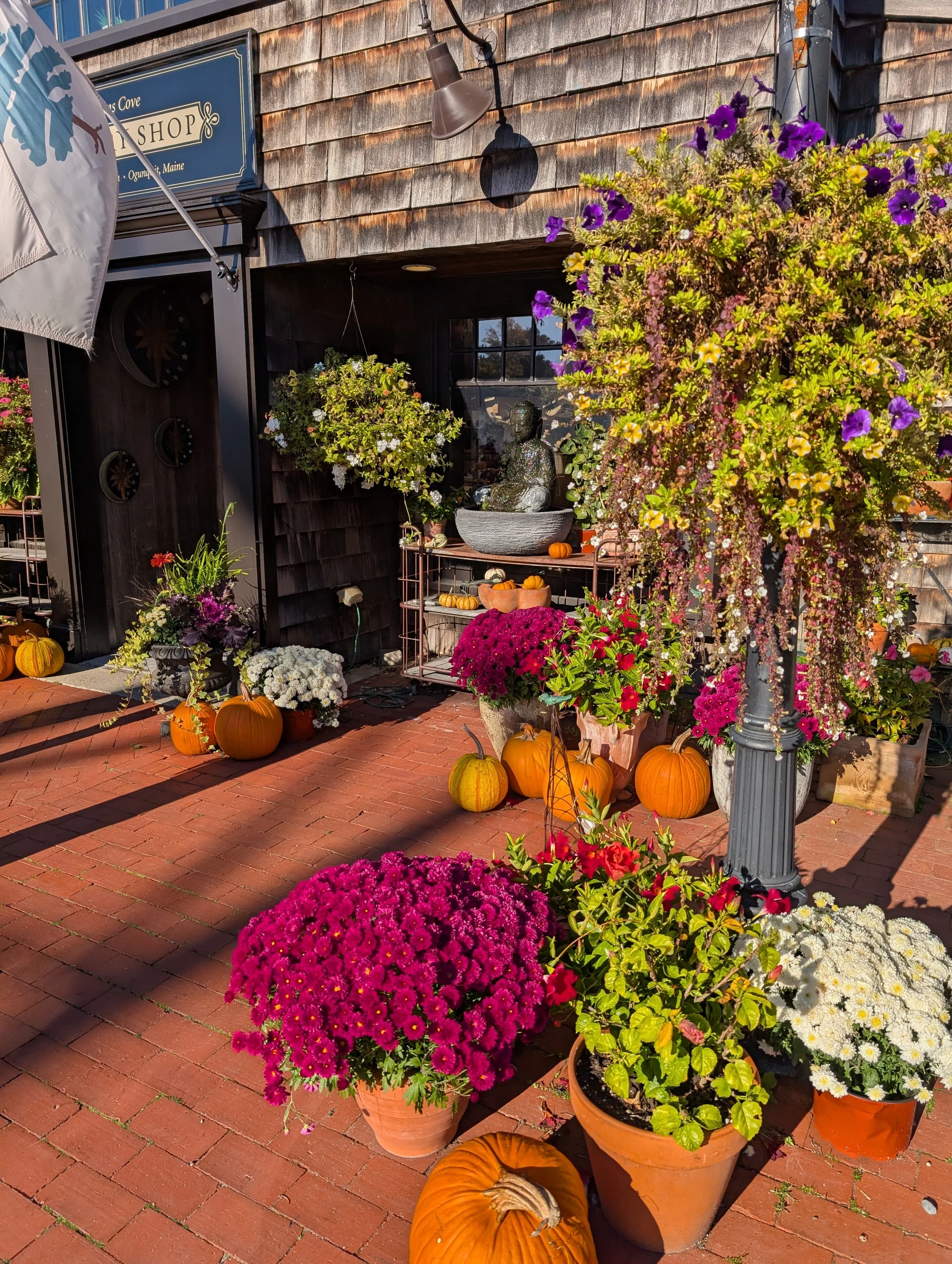 PXL_20251009_194709978 (1).jpg