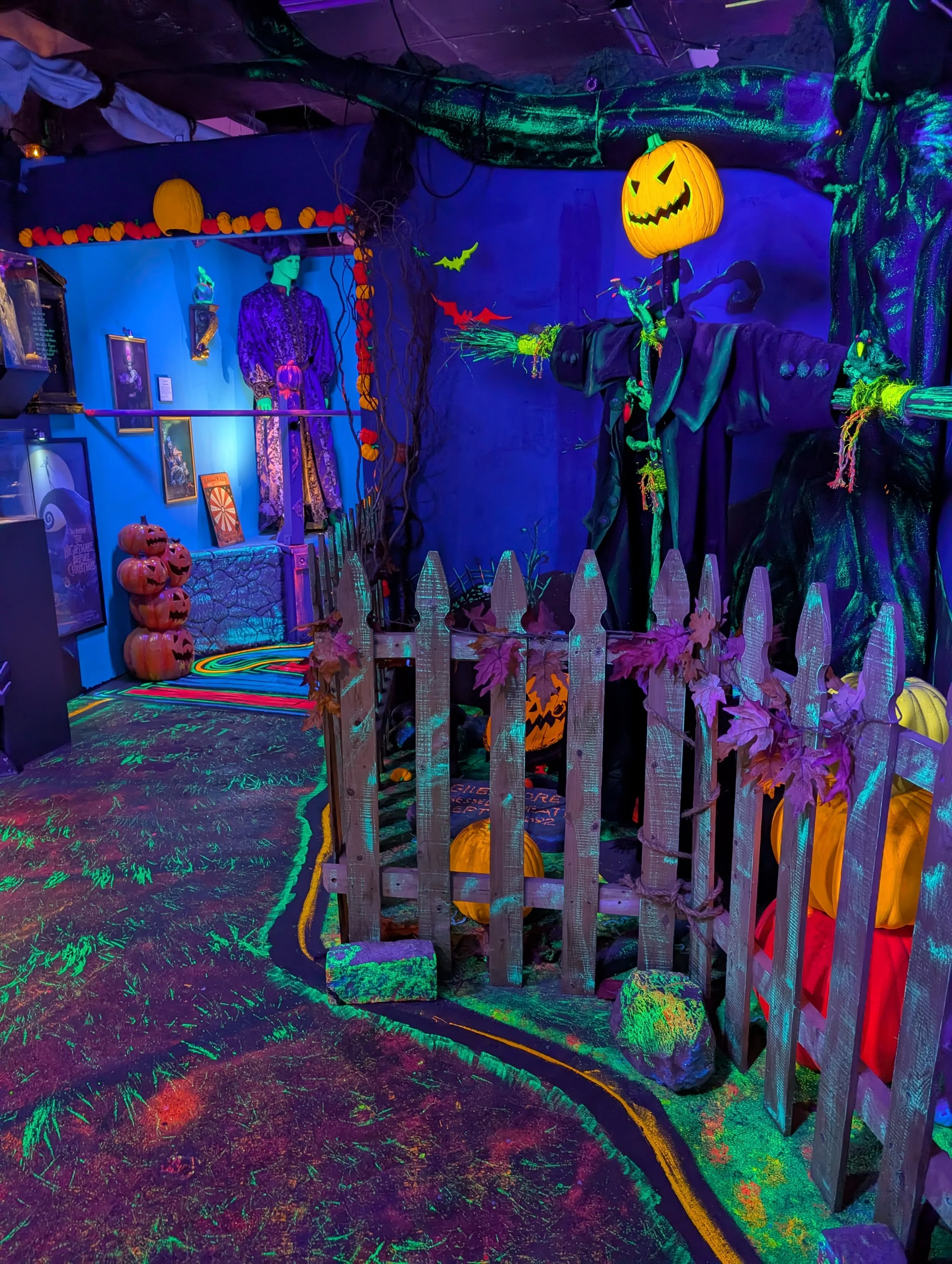 PXL_20251009_231226694 (1).jpg