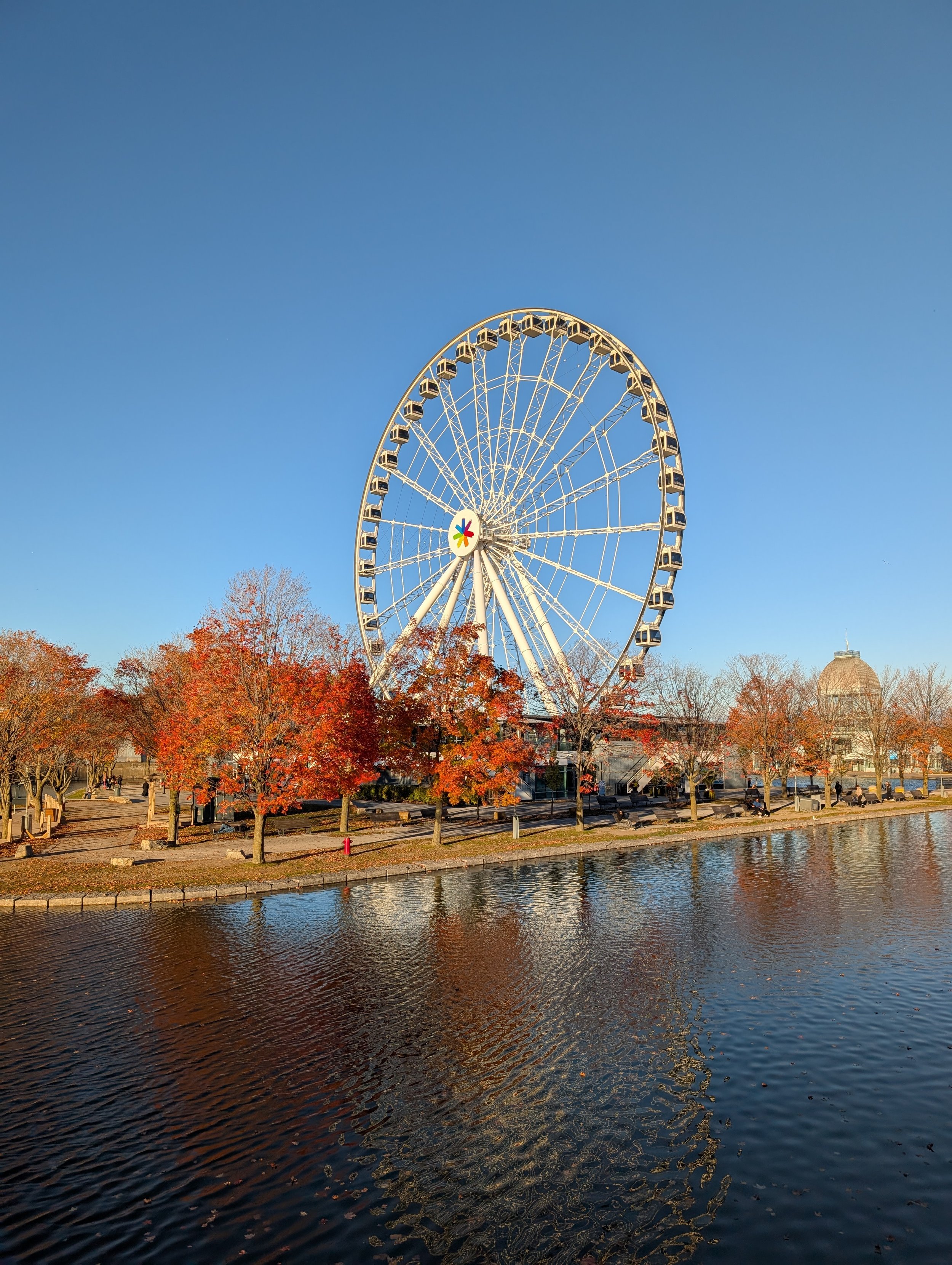 PXL_20251016_210608719 (1).jpg