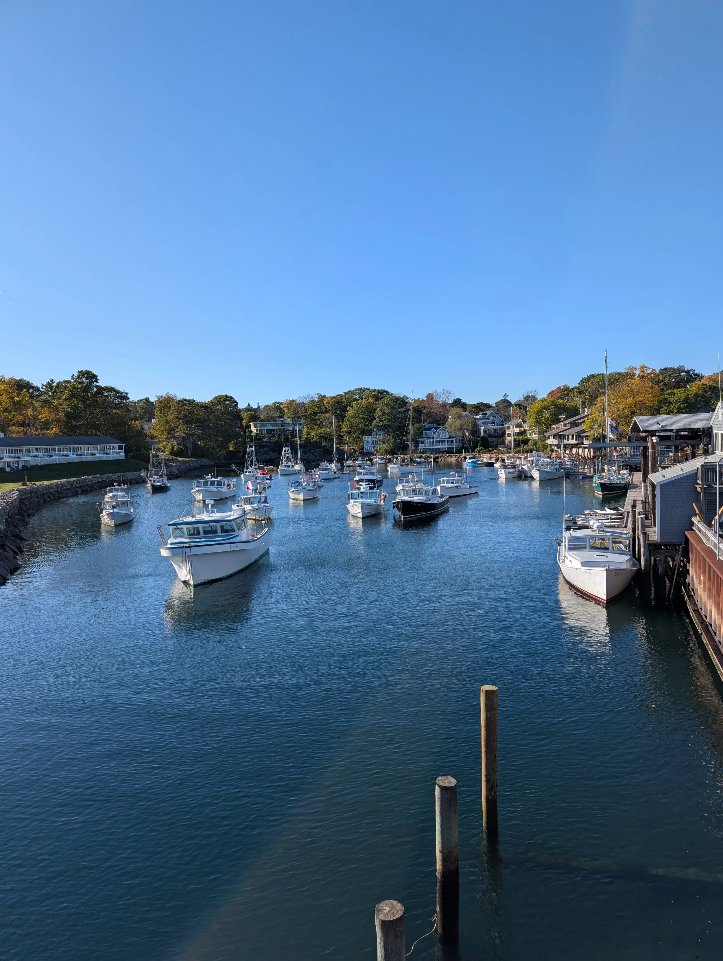 PXL_20251009_194801039 (1).jpg