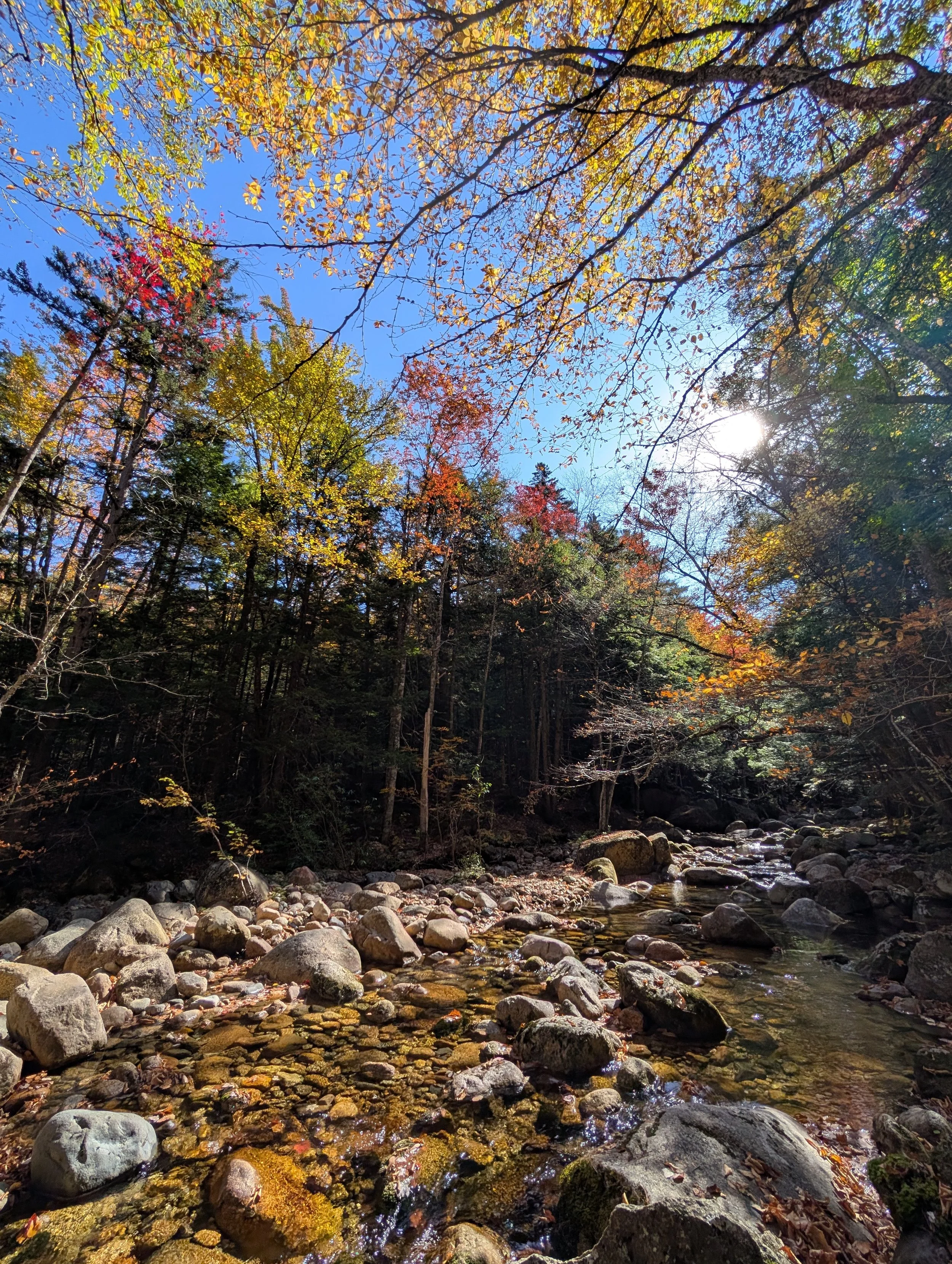 PXL_20251004_151111647 (1).jpg