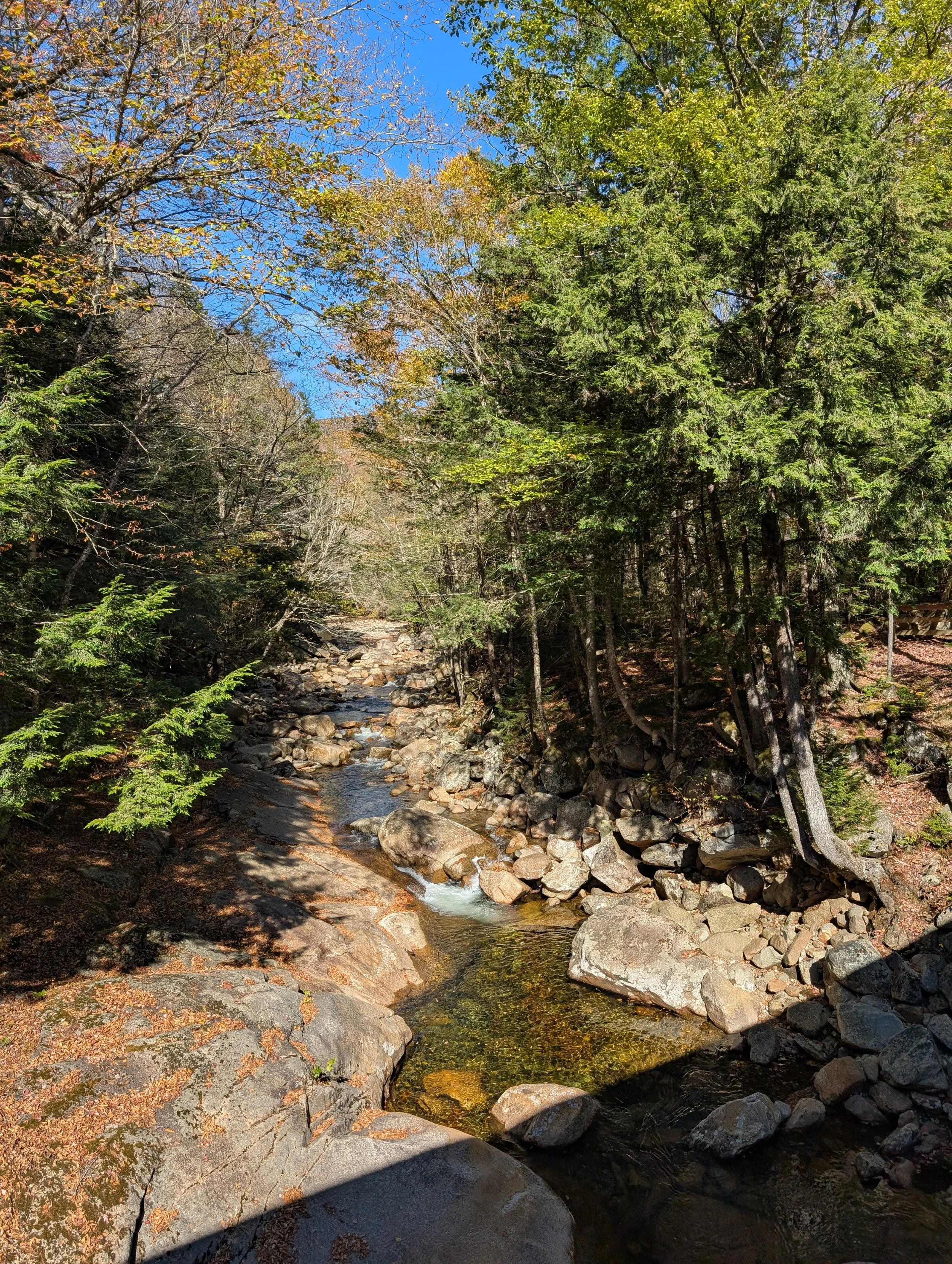 PXL_20251003_181129697 (1).jpg