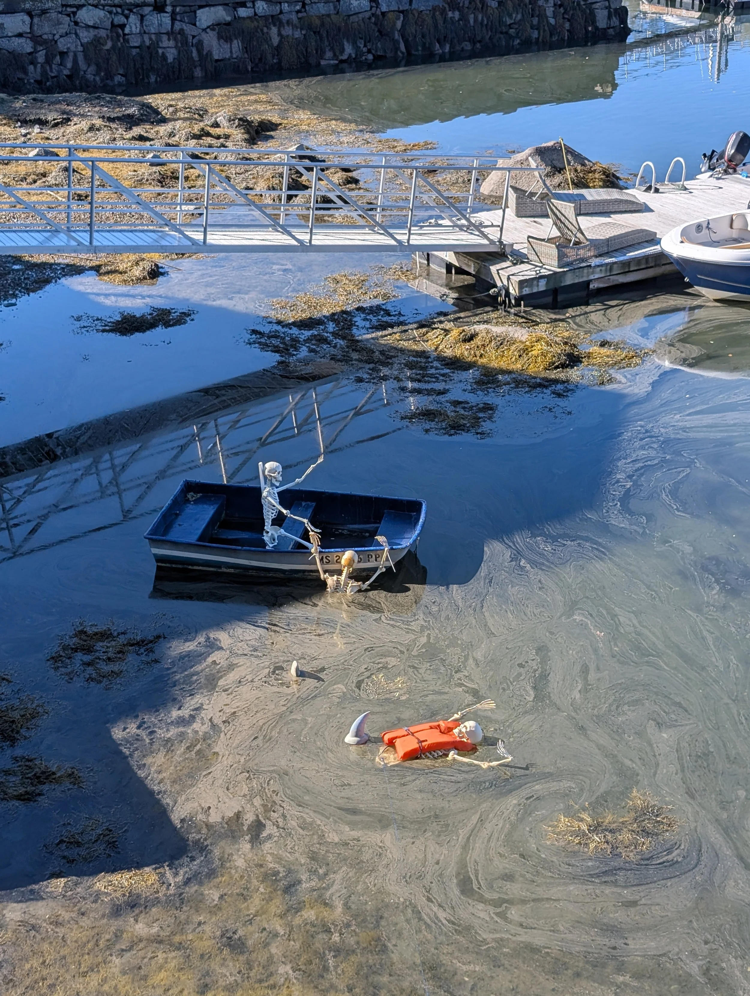 PXL_20251010_143025900 (1).jpg