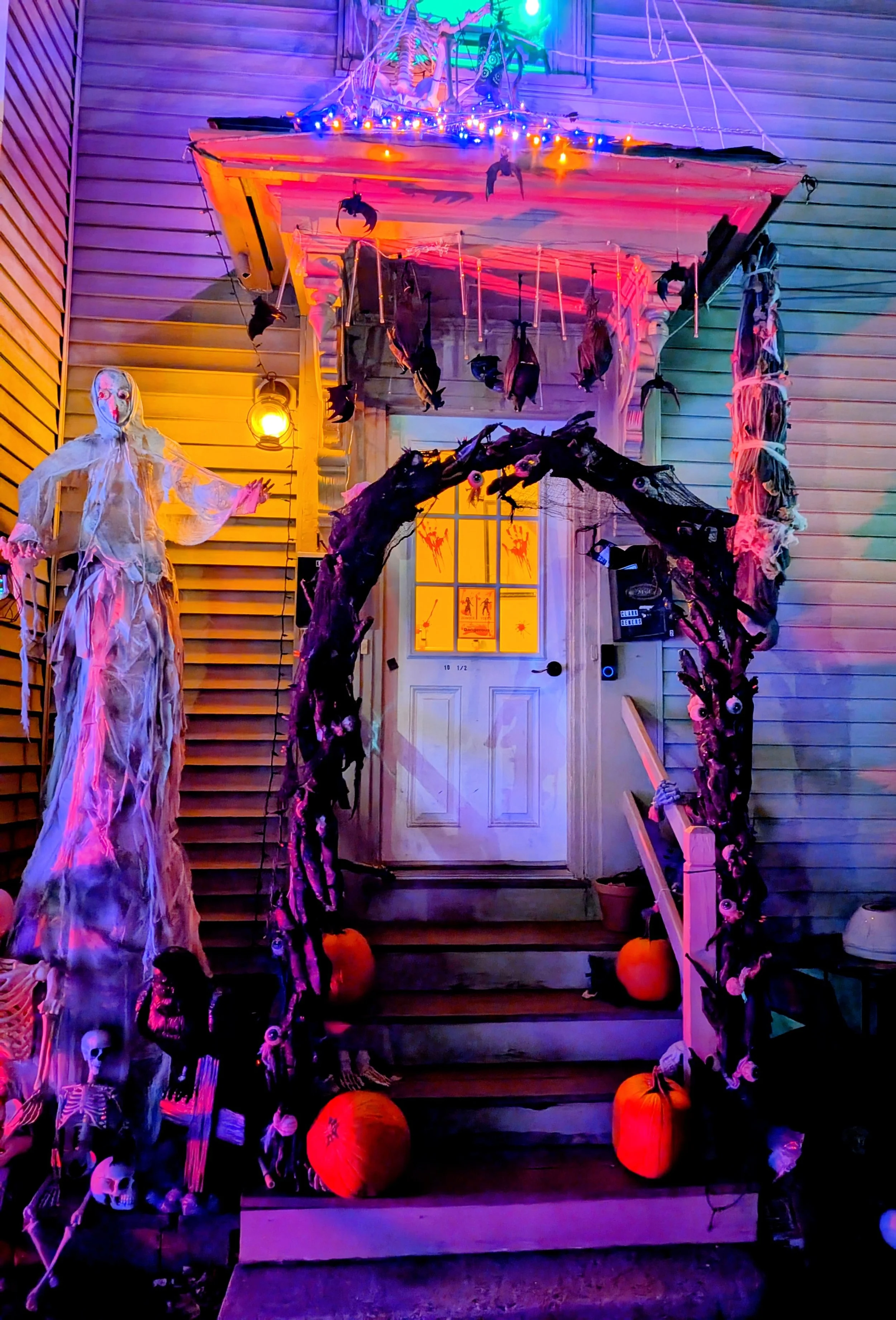 PXL_20251009_233533377.NIGHT~2 (1).jpg