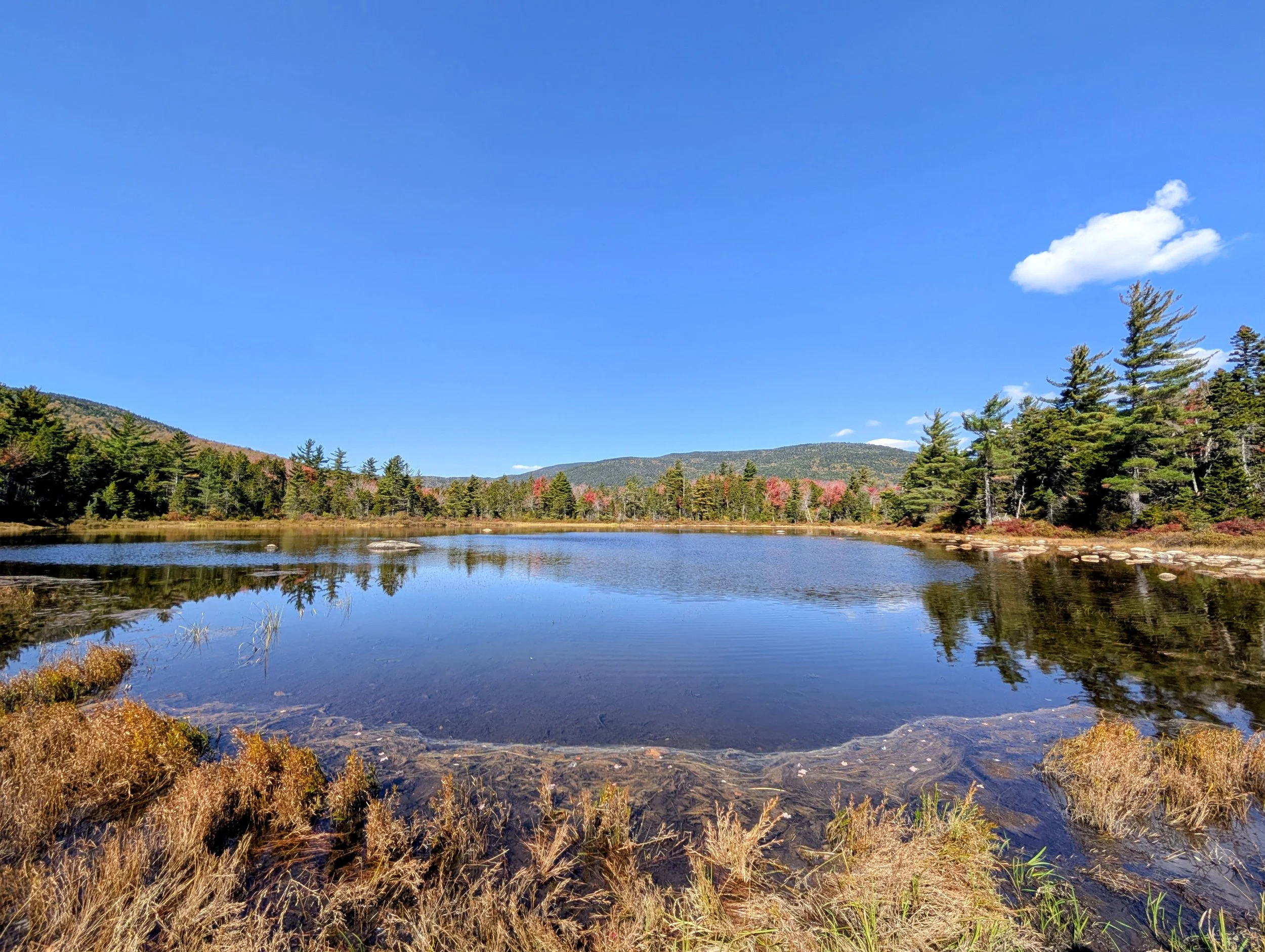 PXL_20251004_154030253~2 (1).jpg