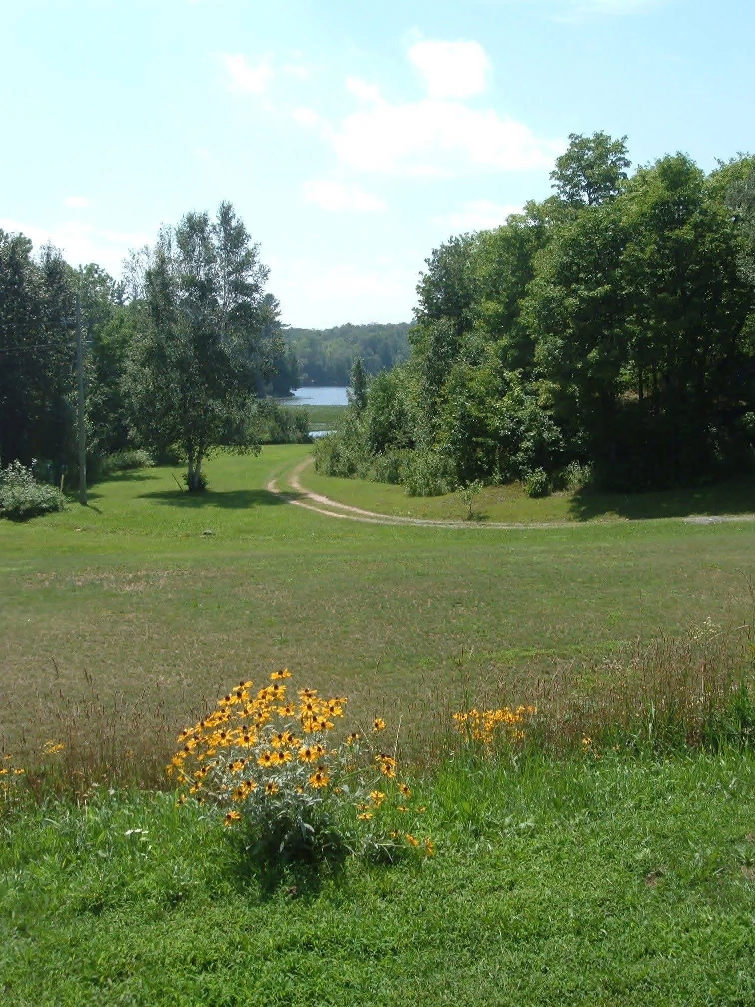 IMG_6468 3.JPG