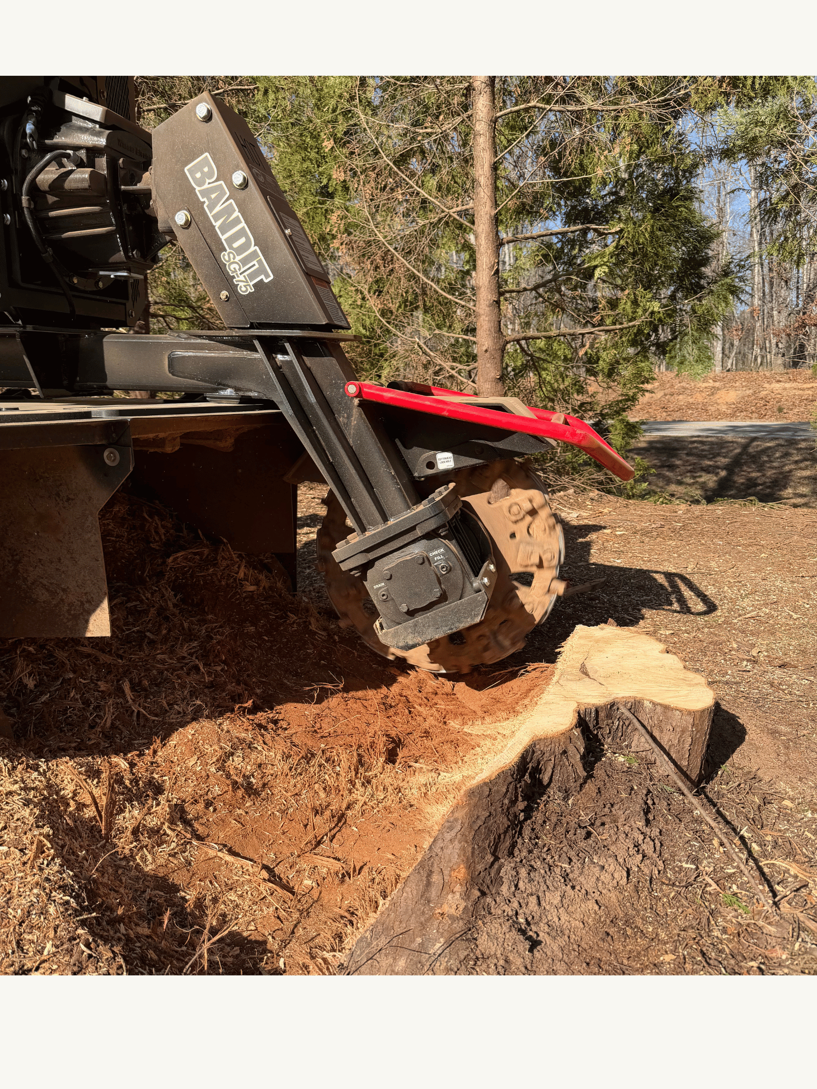 Why Professional Stump Grinding is Essential for Athens, GA Landscapes