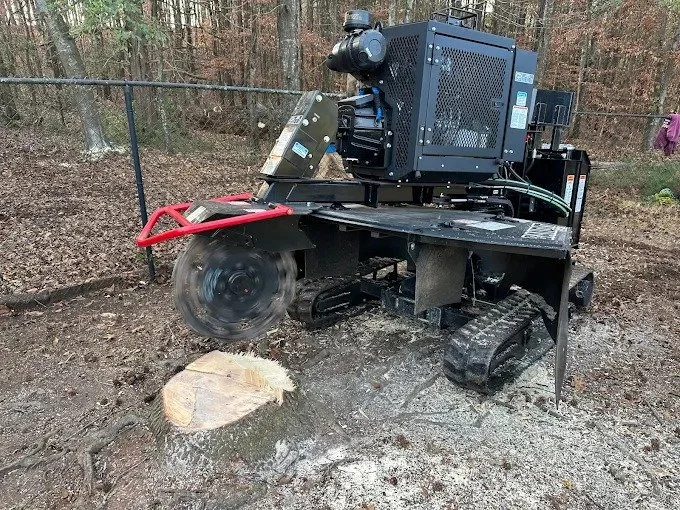 The Real Cost of DIY: Why Renting a Stump Grinder Might Not Be a Bargain