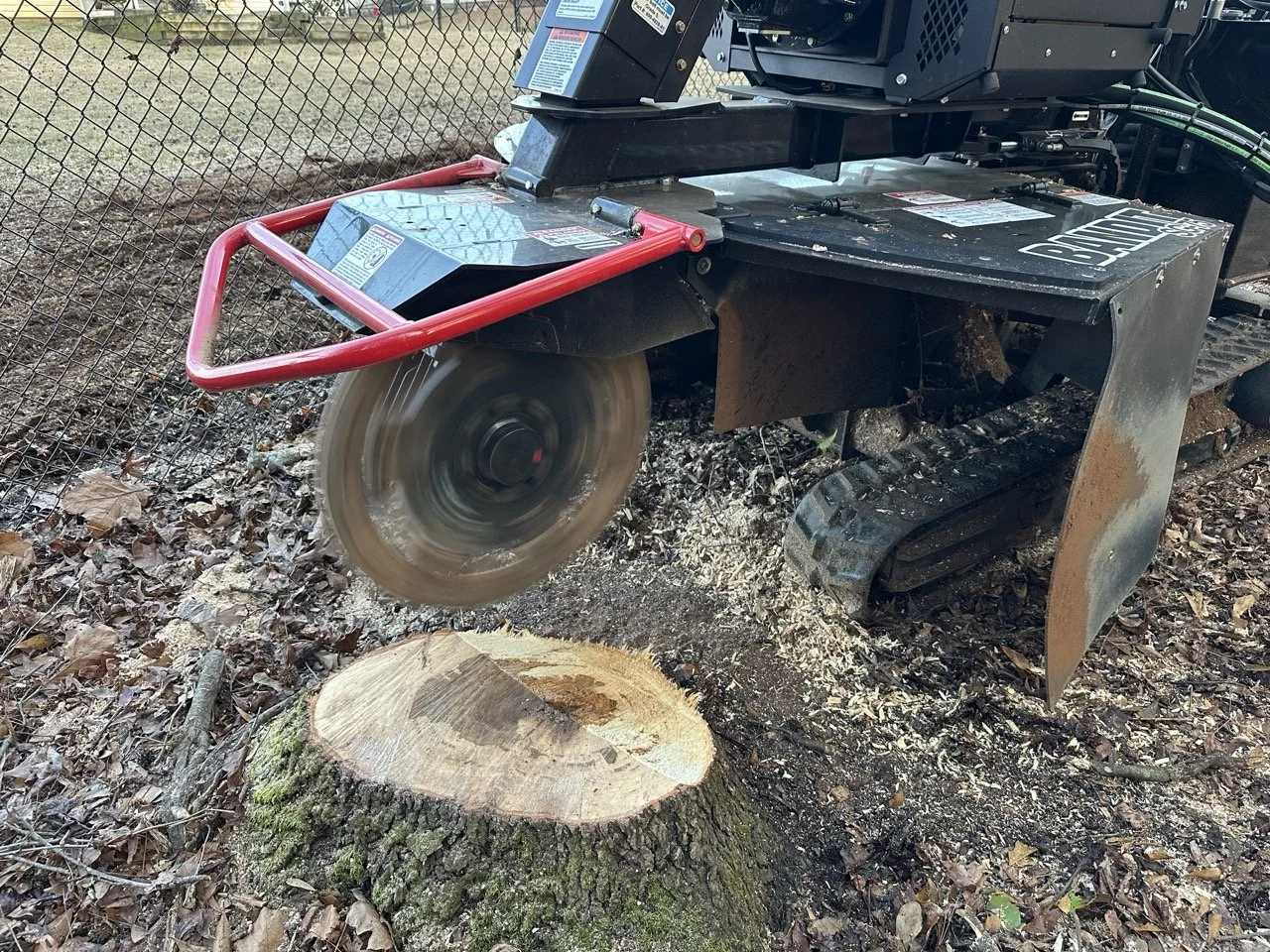 Stump Grinding Athens GA