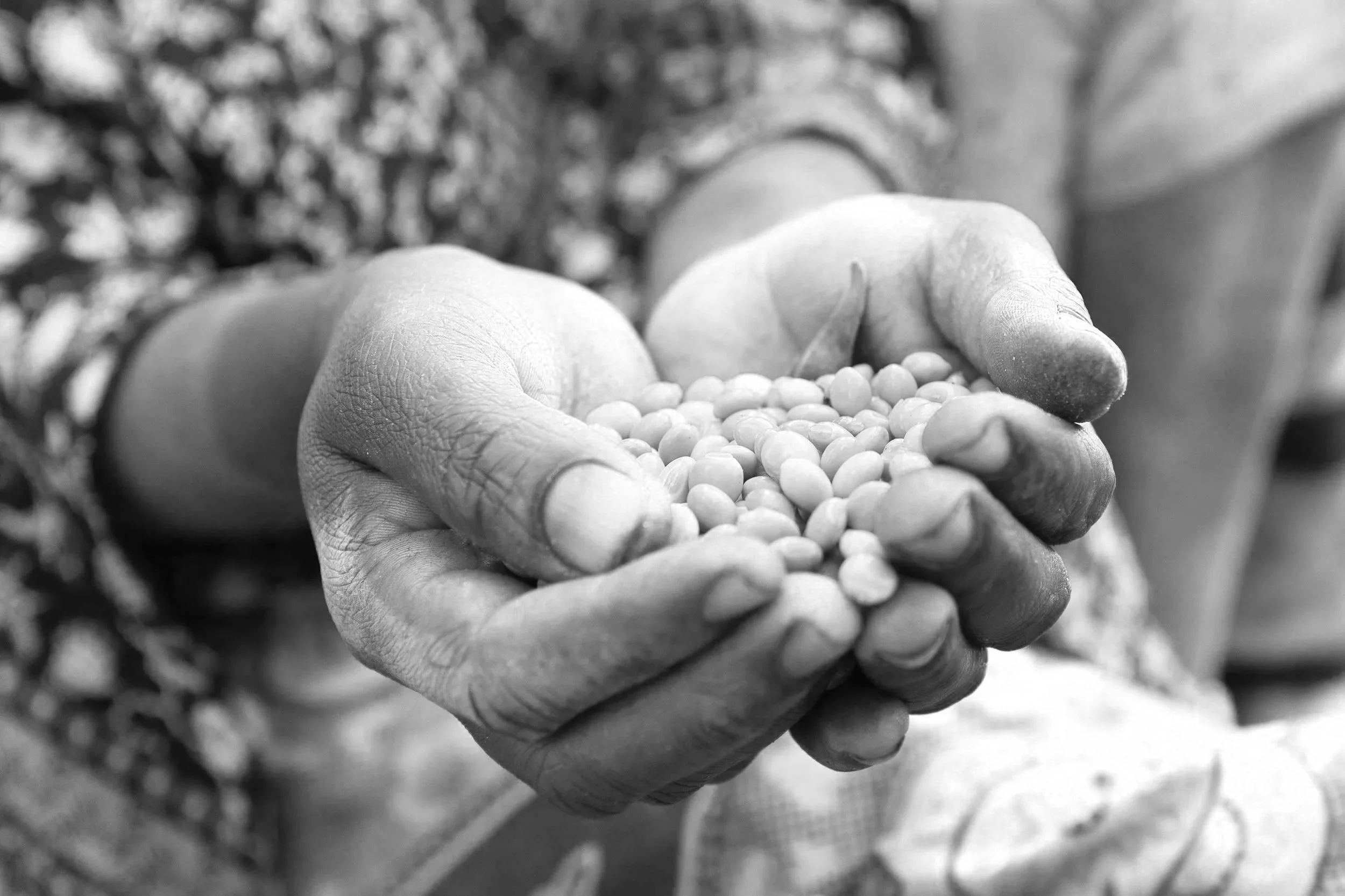 Fachartikel und Gastbeitraege fuer Redaktionen - Maurice Ressel