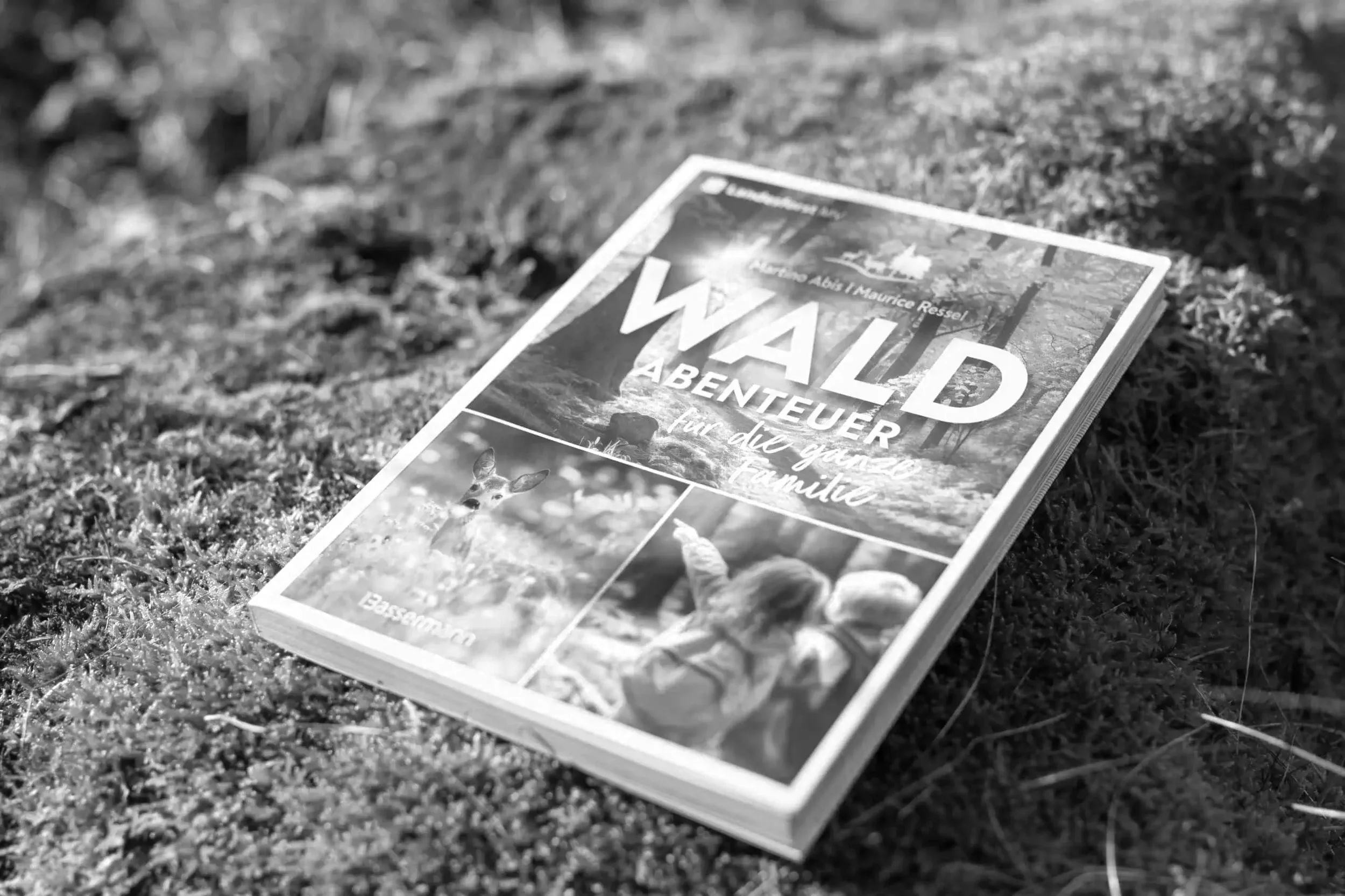 Fachtexte und Sachbuecher fuer Verlage - Maurice Ressel