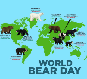 World Bear Day