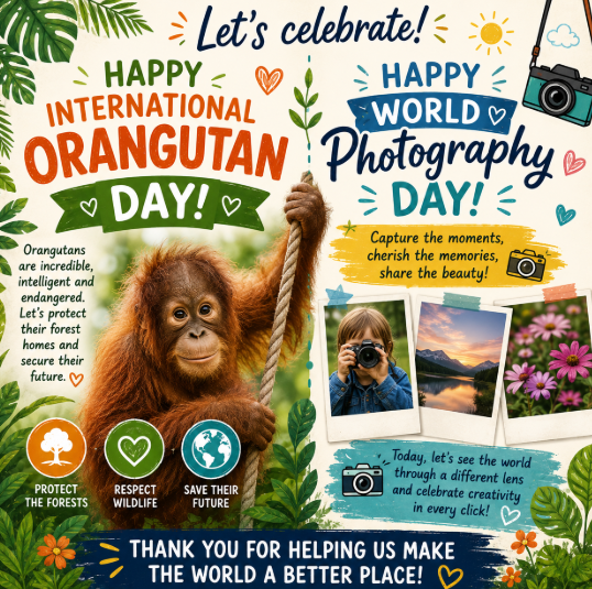 International Orangutan Day / World Photography Day
