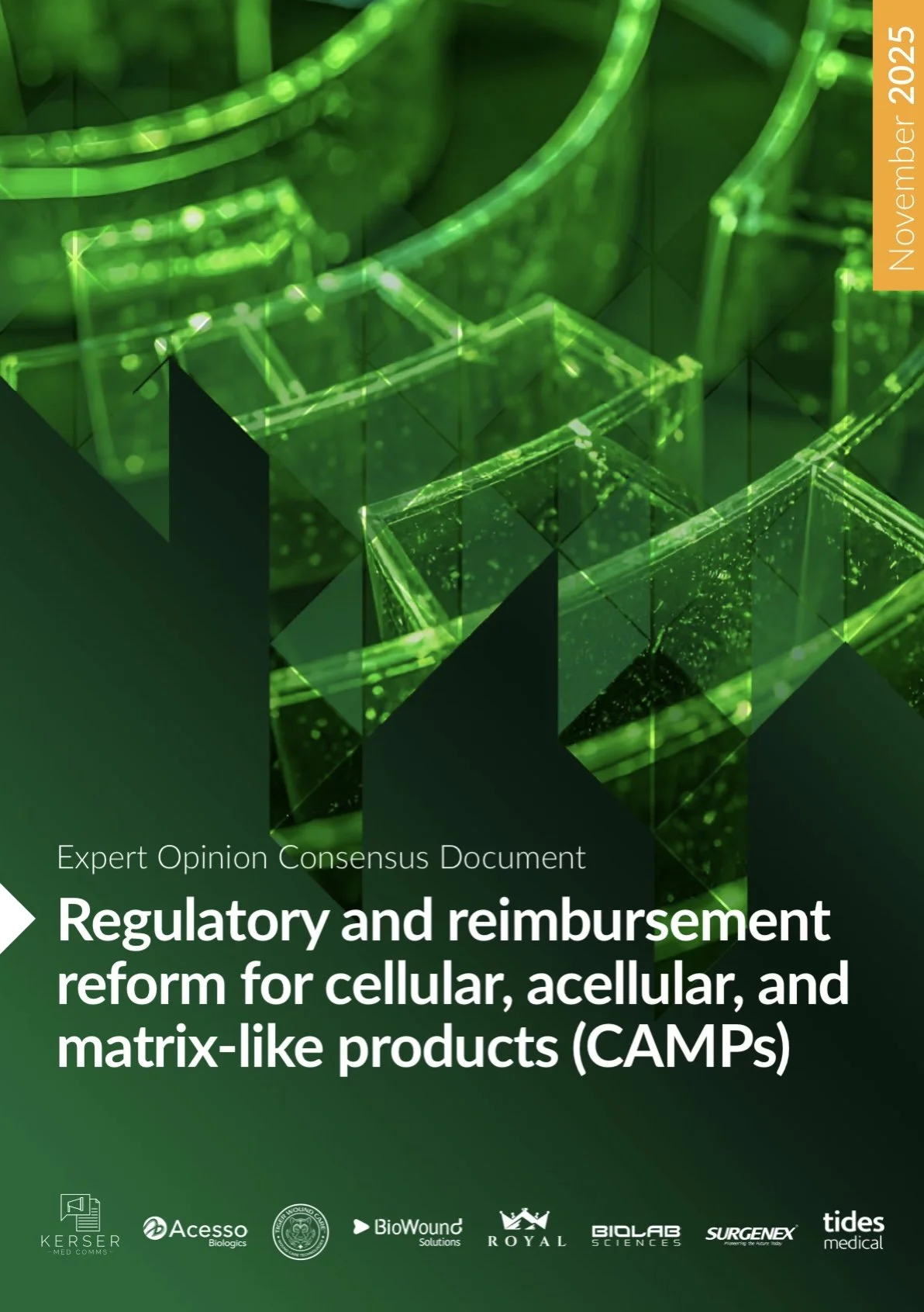 Cover page of a report titled 'Regulatory and reimbursement reform for cellular, acellular, and matrix-like products (CAMPs)' with green abstract geometric background, publishers' logos at the bottom, and a date of November 2025 on the side.