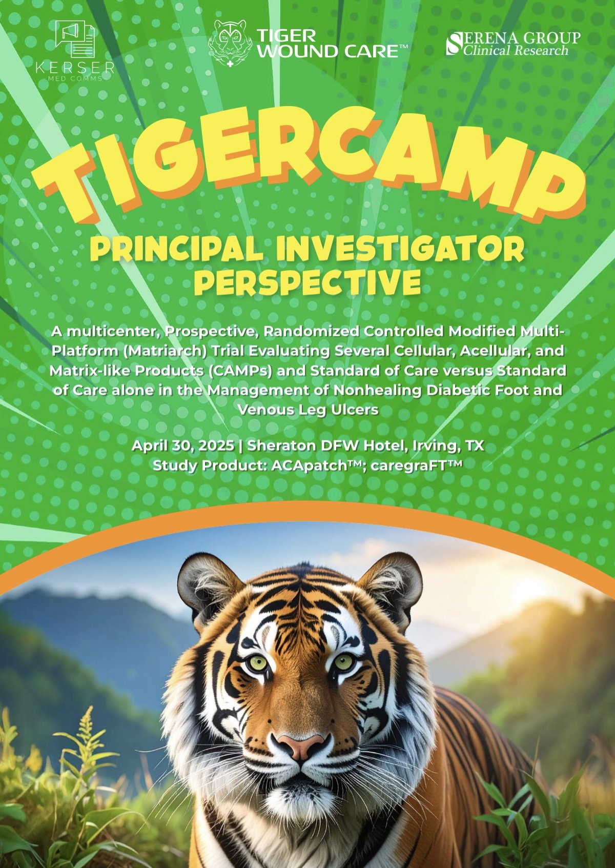 Cover page of a presentation or study event with a tiger in a natural landscape background, green dotted and striped design, featuring logos for Kerser, Tiger Wound Care, and Serena Group, with yellow and orange text announcing 'TigerCamp Principal Investigator Perspective' and event details.