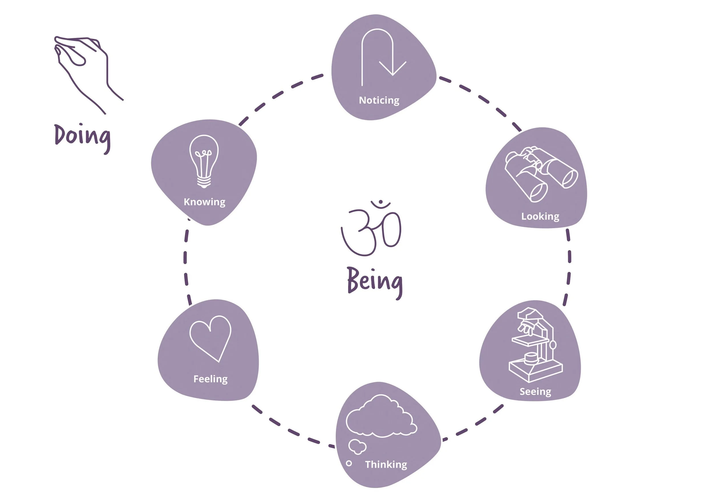 A diagram illustrating the five senses and their relation to being. It features a circular flow with sections labeled Noticing, Looking, Seeing, Thinking, Feeling, Knowing, and Doing in a purple color scheme, with icons representing each sense.