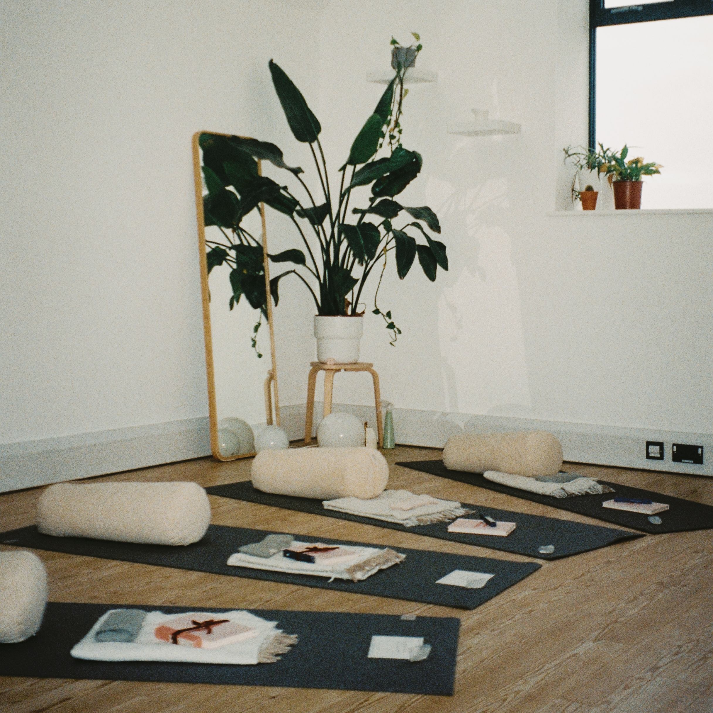 Indoor yoga space with four black yoga mats aligned on a wooden floor, each topped with a rolled blanket, a towel, and small books or notebooks, with a large potted plant and a mirror reflecting the space.