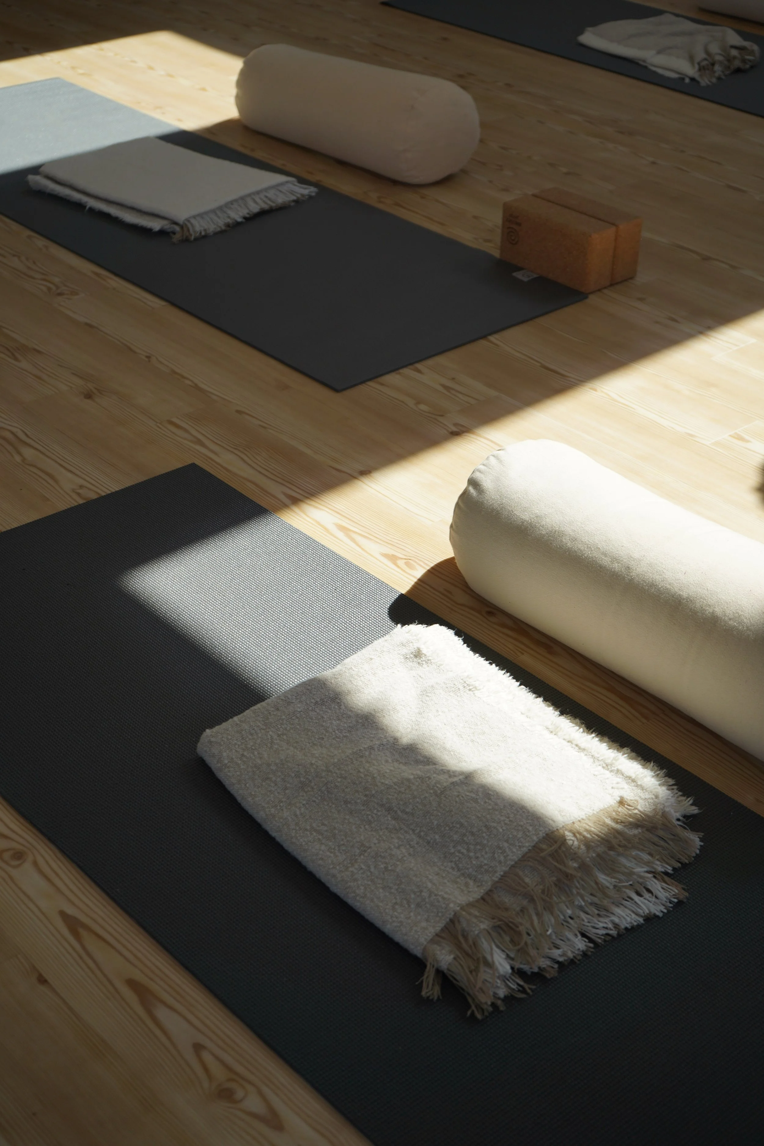 1 : 1 YOGA THERAPY