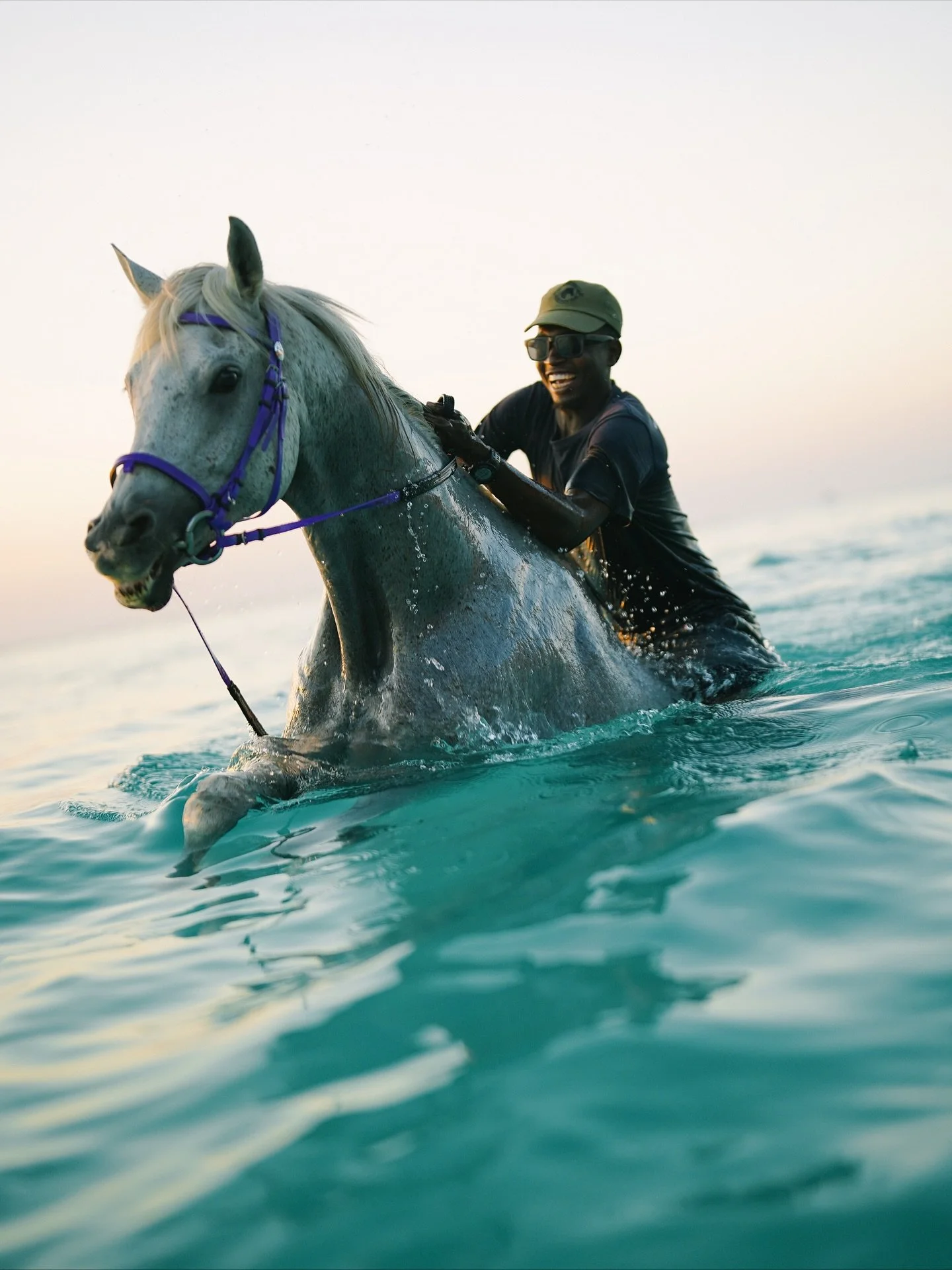 Unreal experiences @zanzibarhorseclub